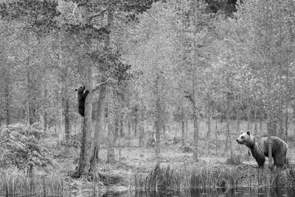 Thinking about the future...