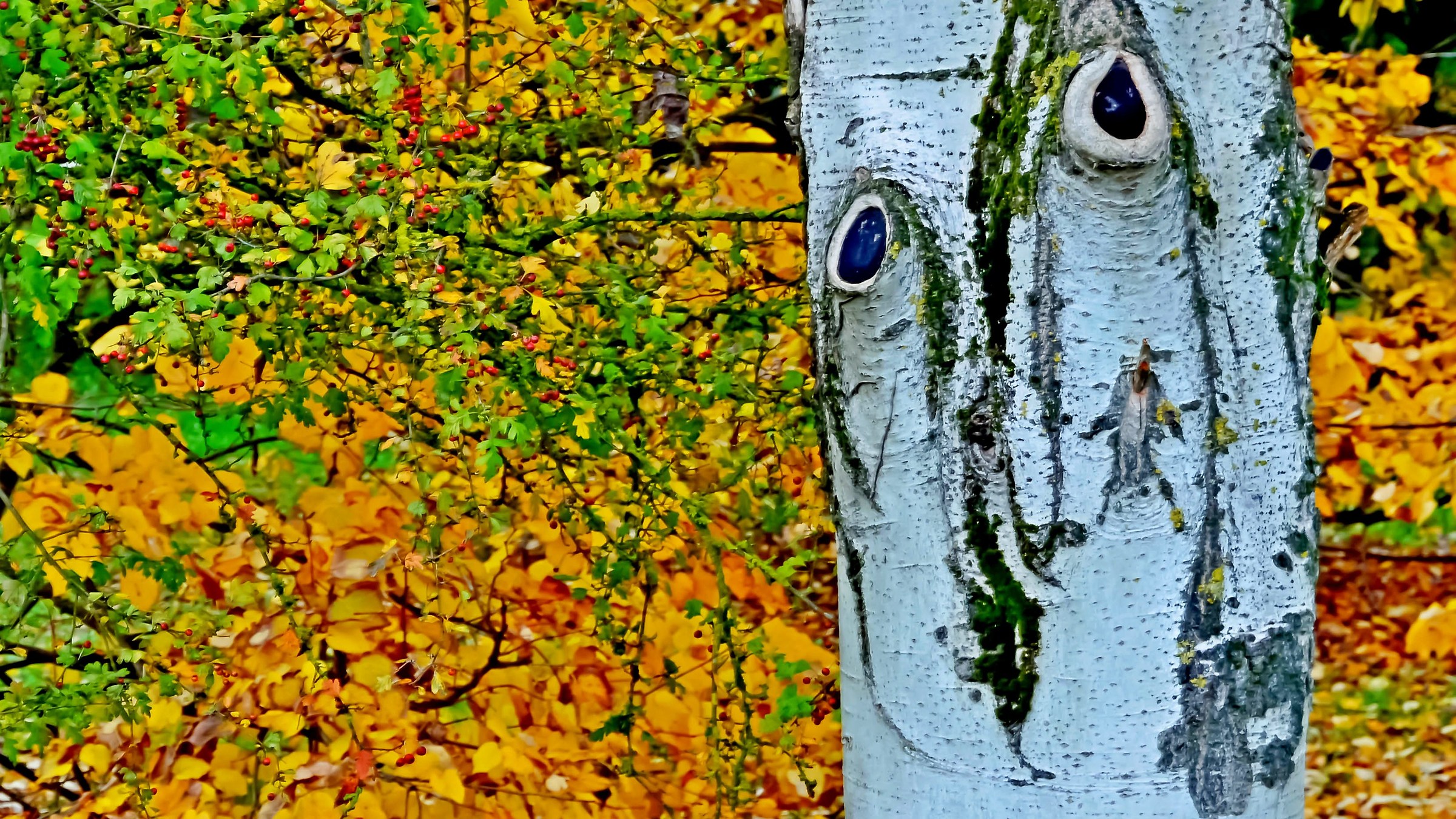 Careful: I look at you