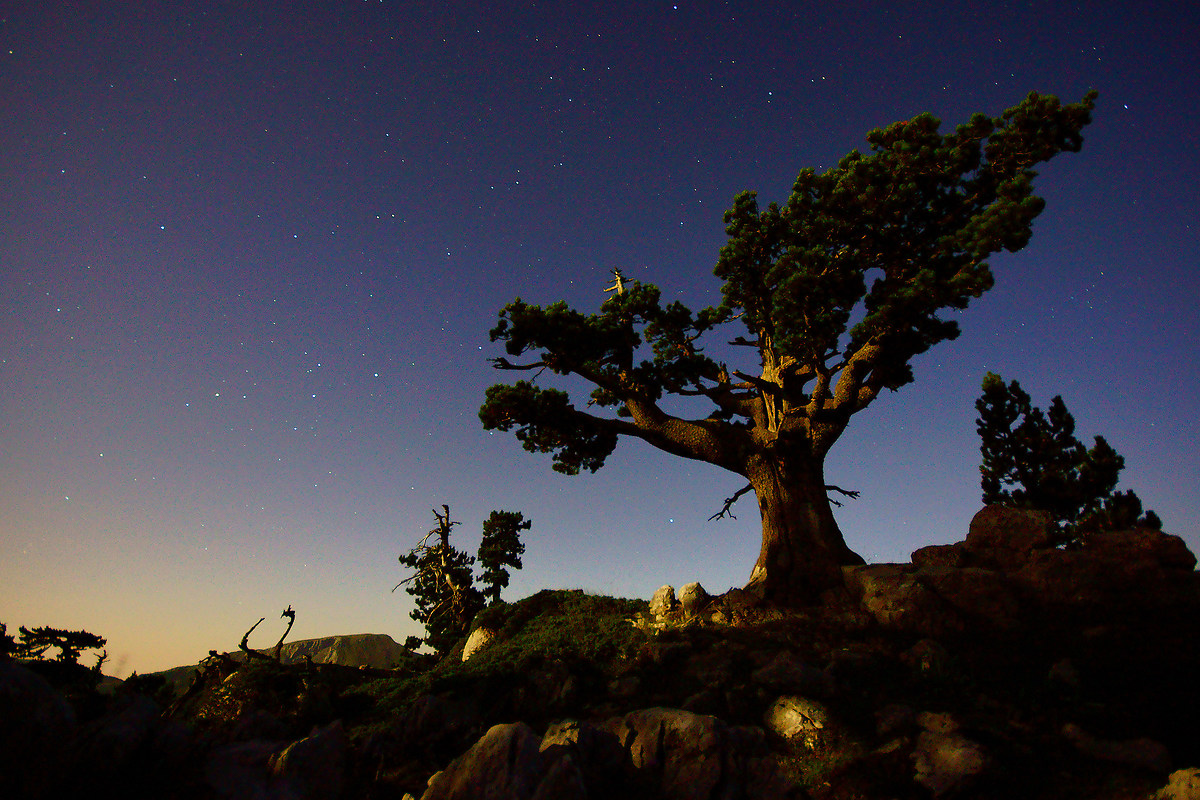 Notte di luna piena...