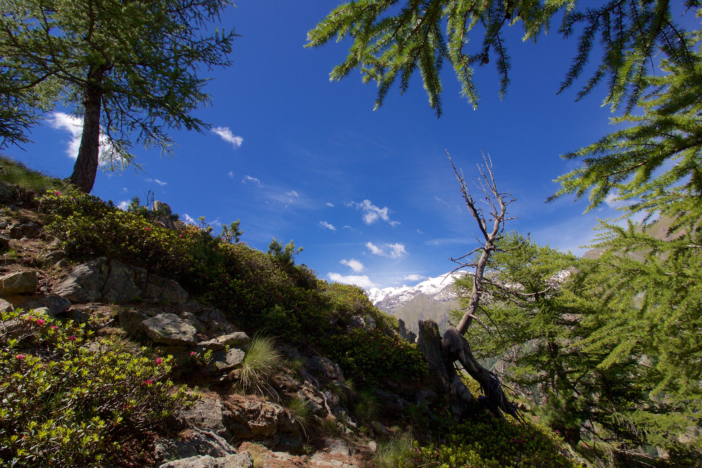 Piccolo angolo di "Paradiso"