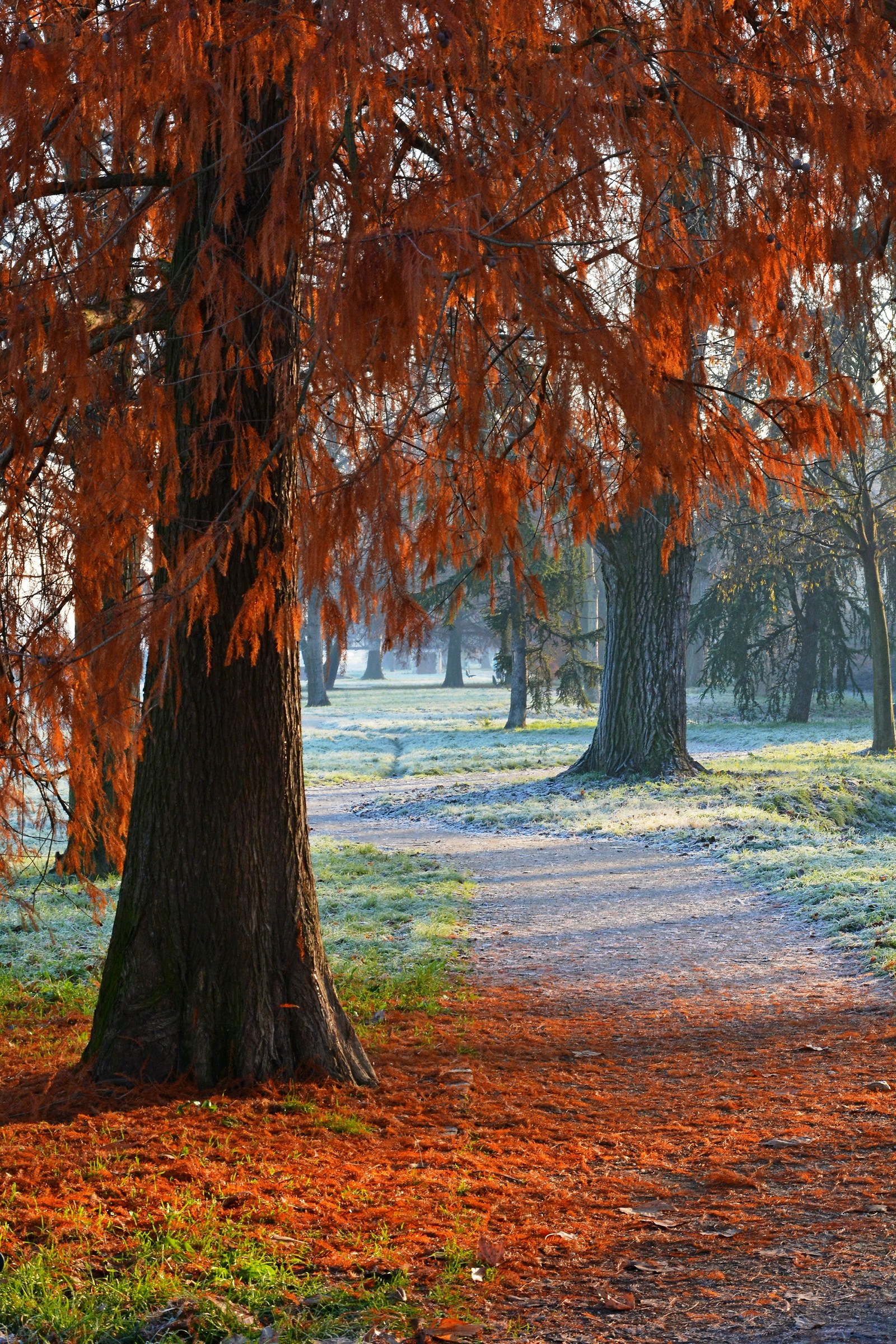 Under the walls of Ferrara