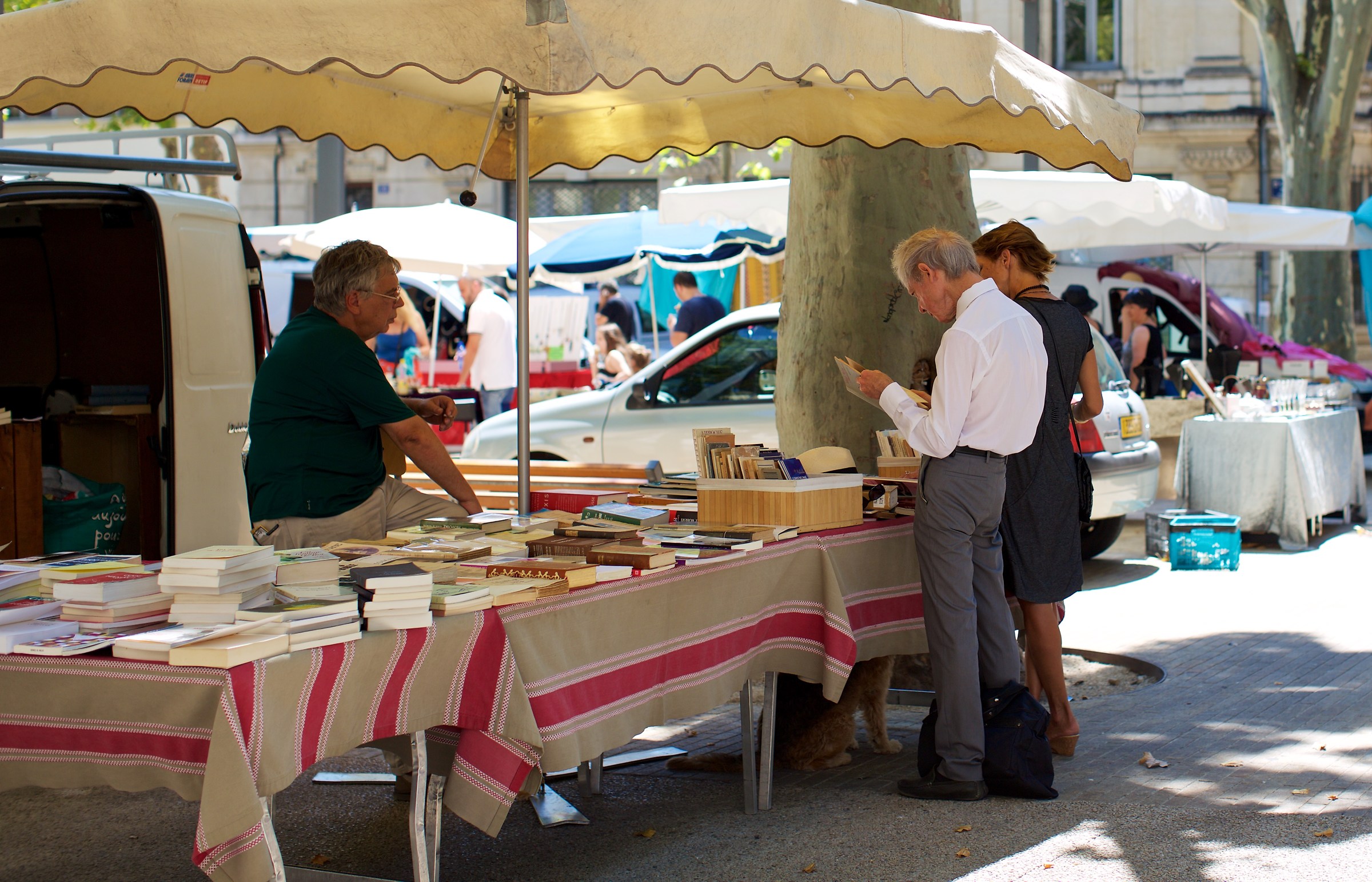 La passione per i libri