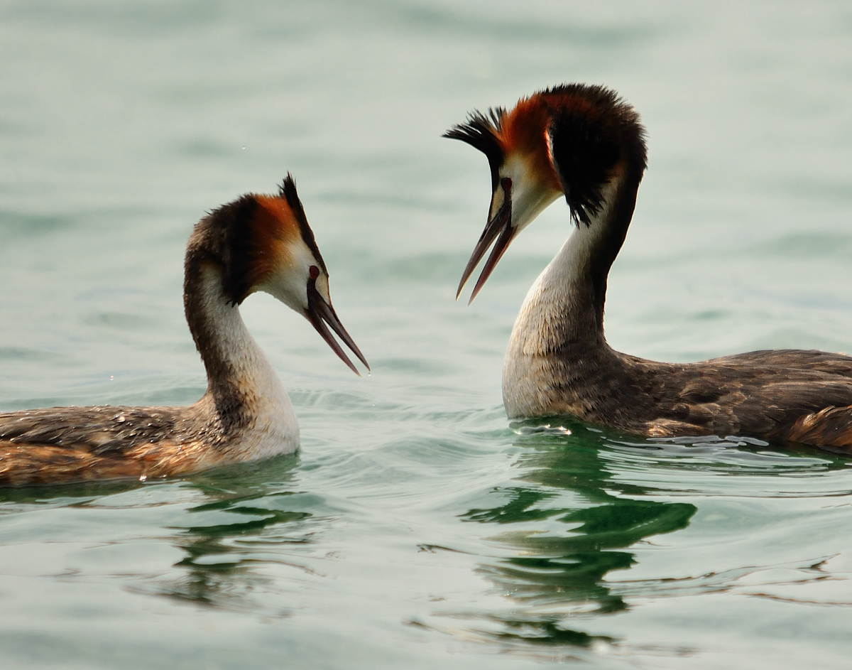 Questione di sguardi