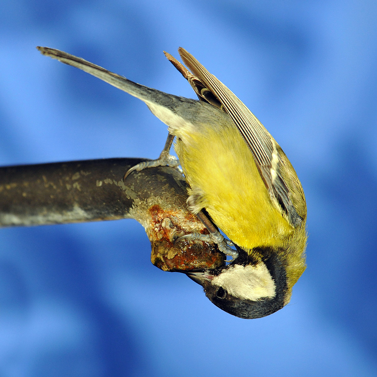 you want to see me off the water