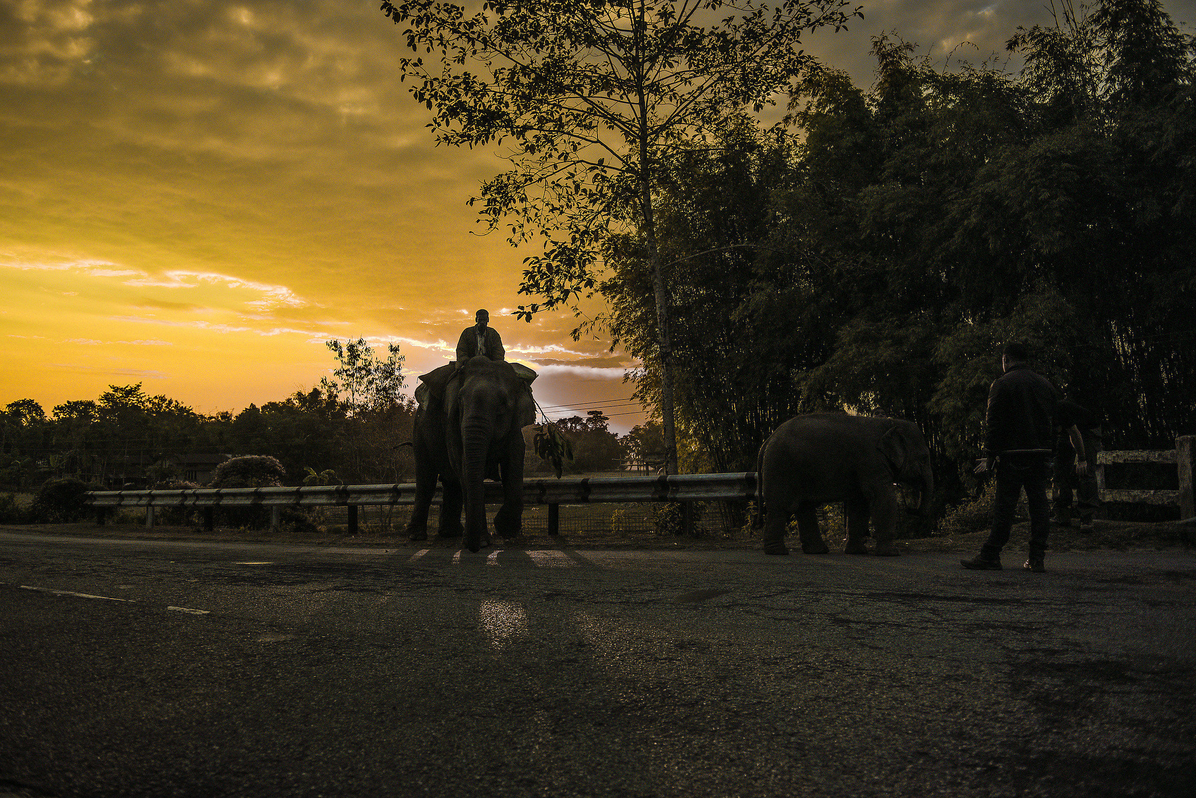 Incontro inaspettato.