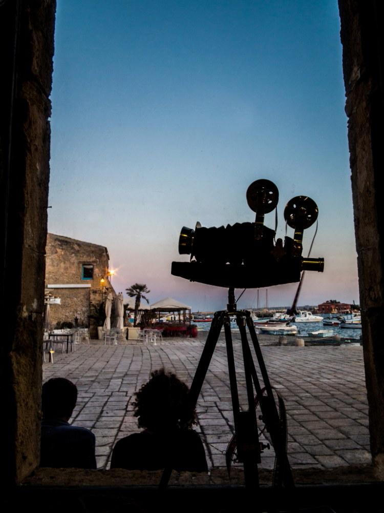 From the window of the trap