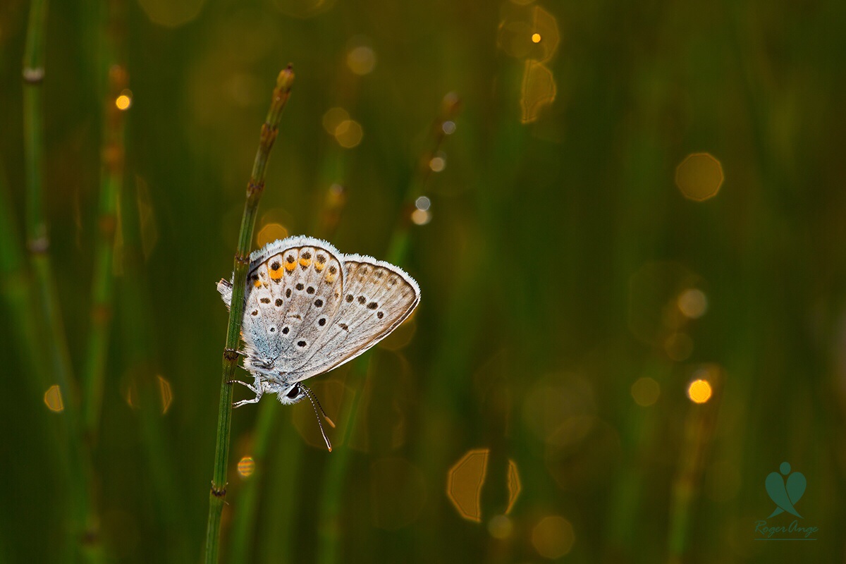 5 o'clock in the morning