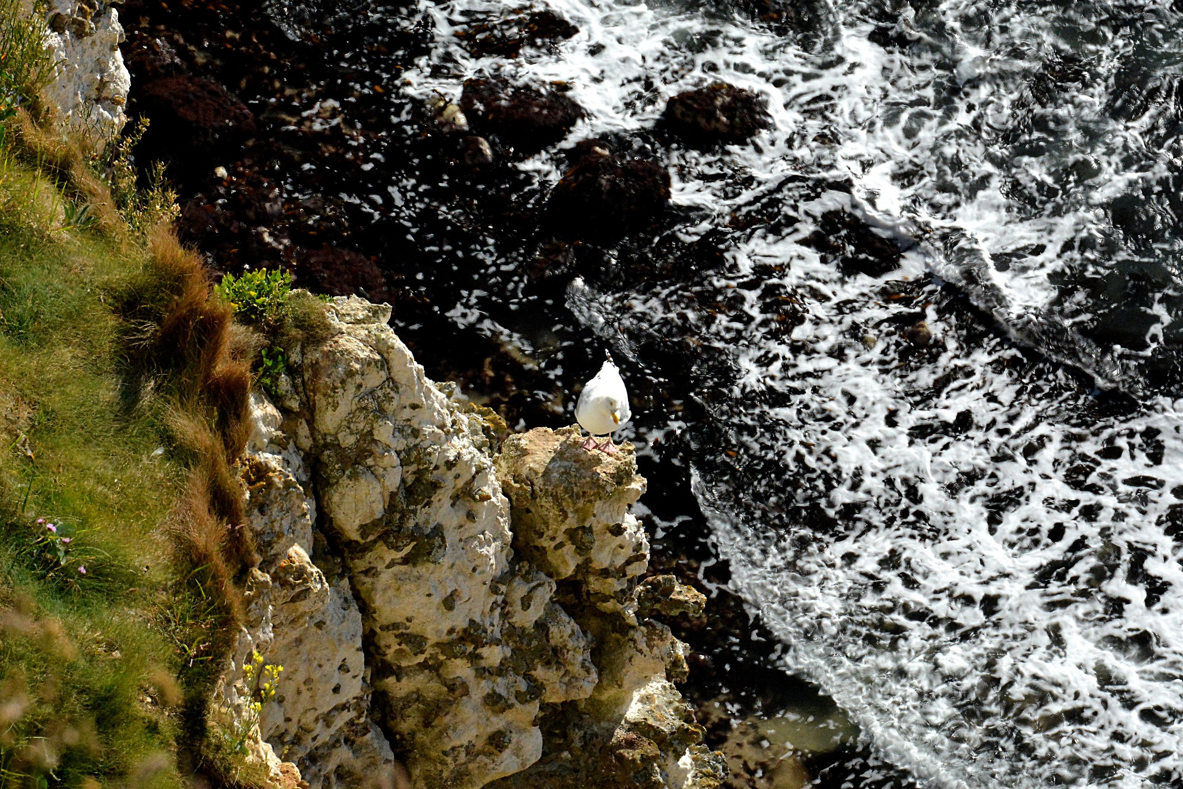 Dall'alto della scogliera
