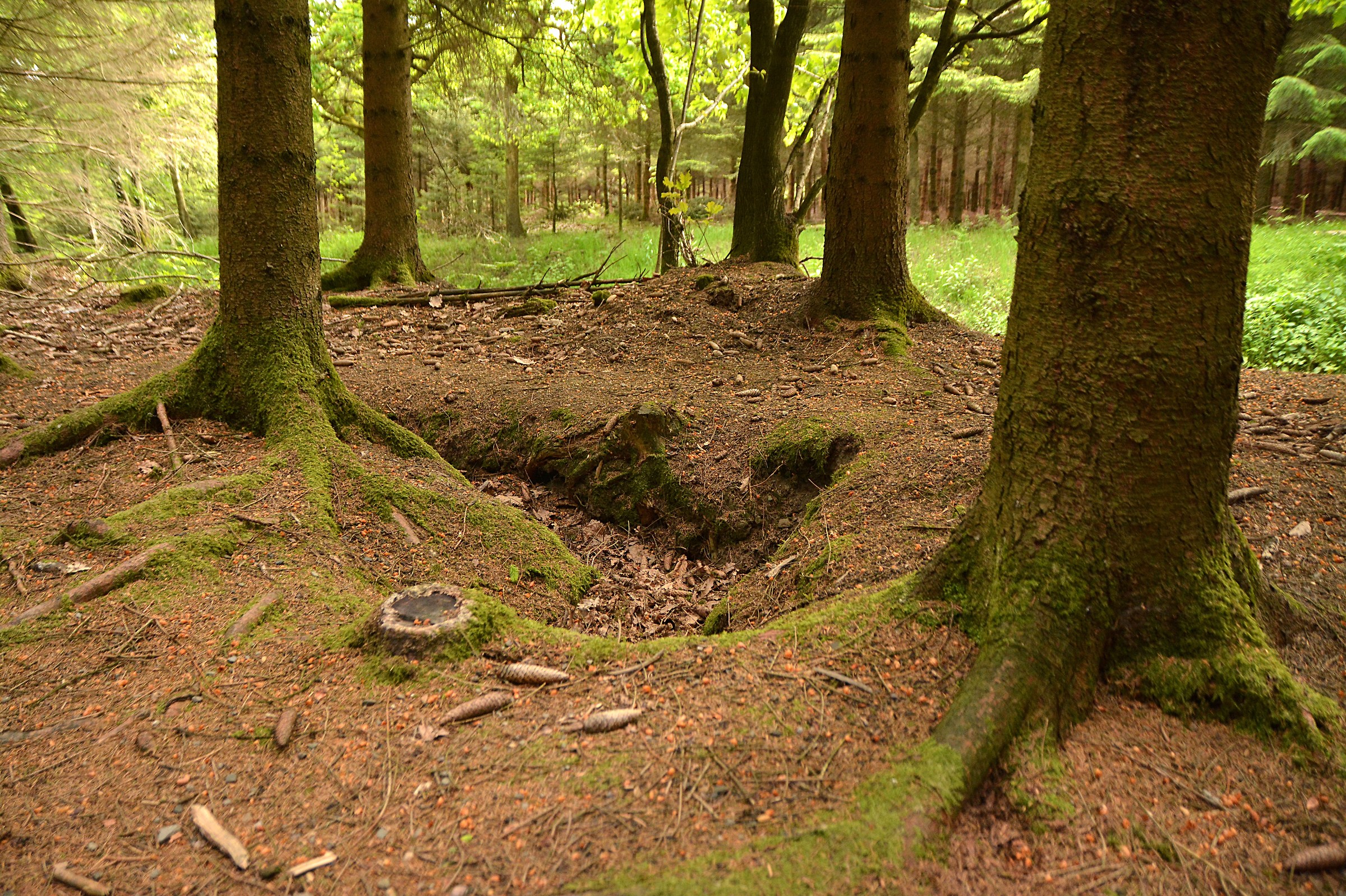 Bastogne-Bois Jacques foxhole