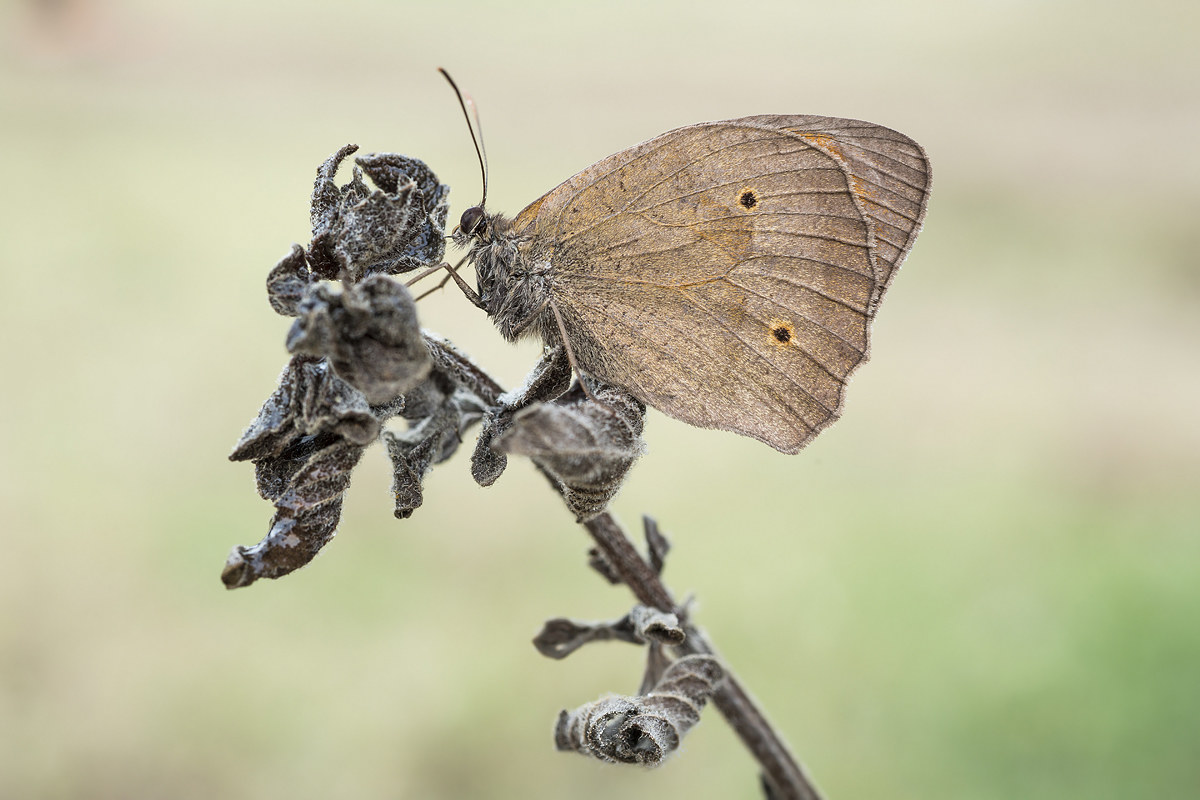 Just before Escape !! ..