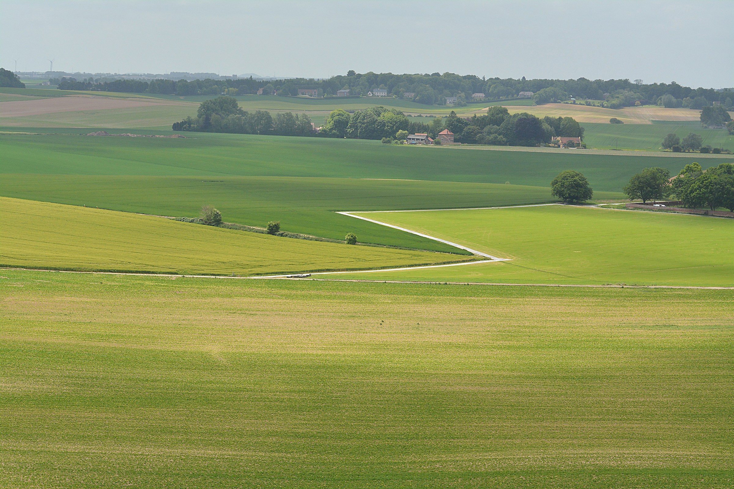 Il campo di battaglia