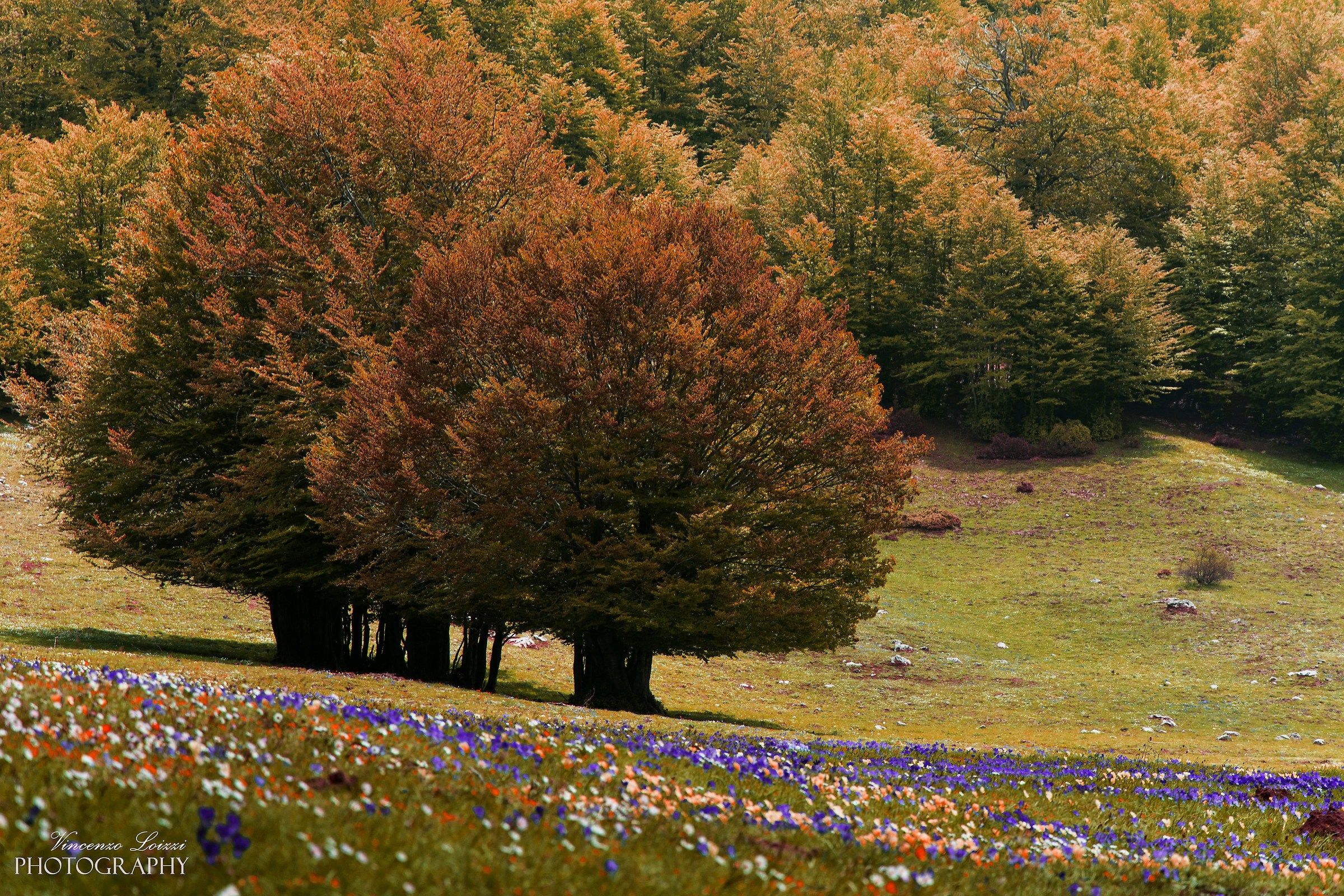 Vicini vicini - Monte Pollino