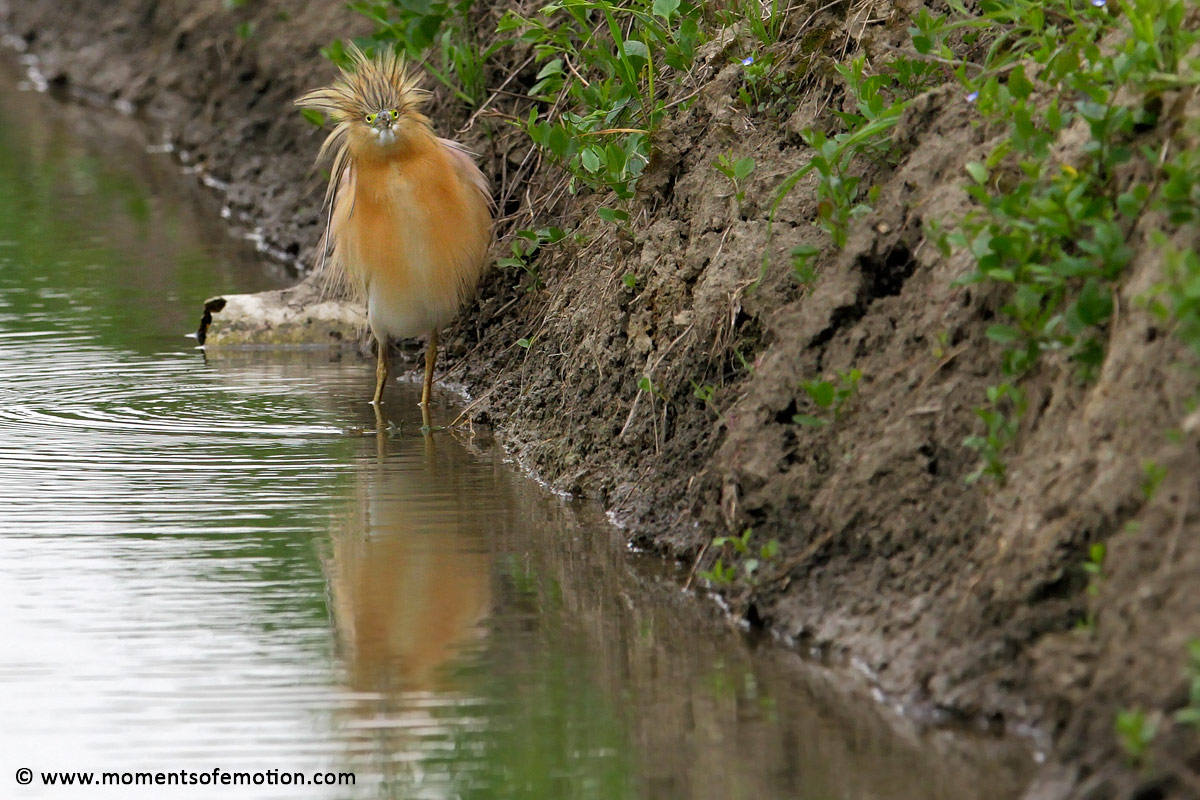 Oh man .... I have discovered!