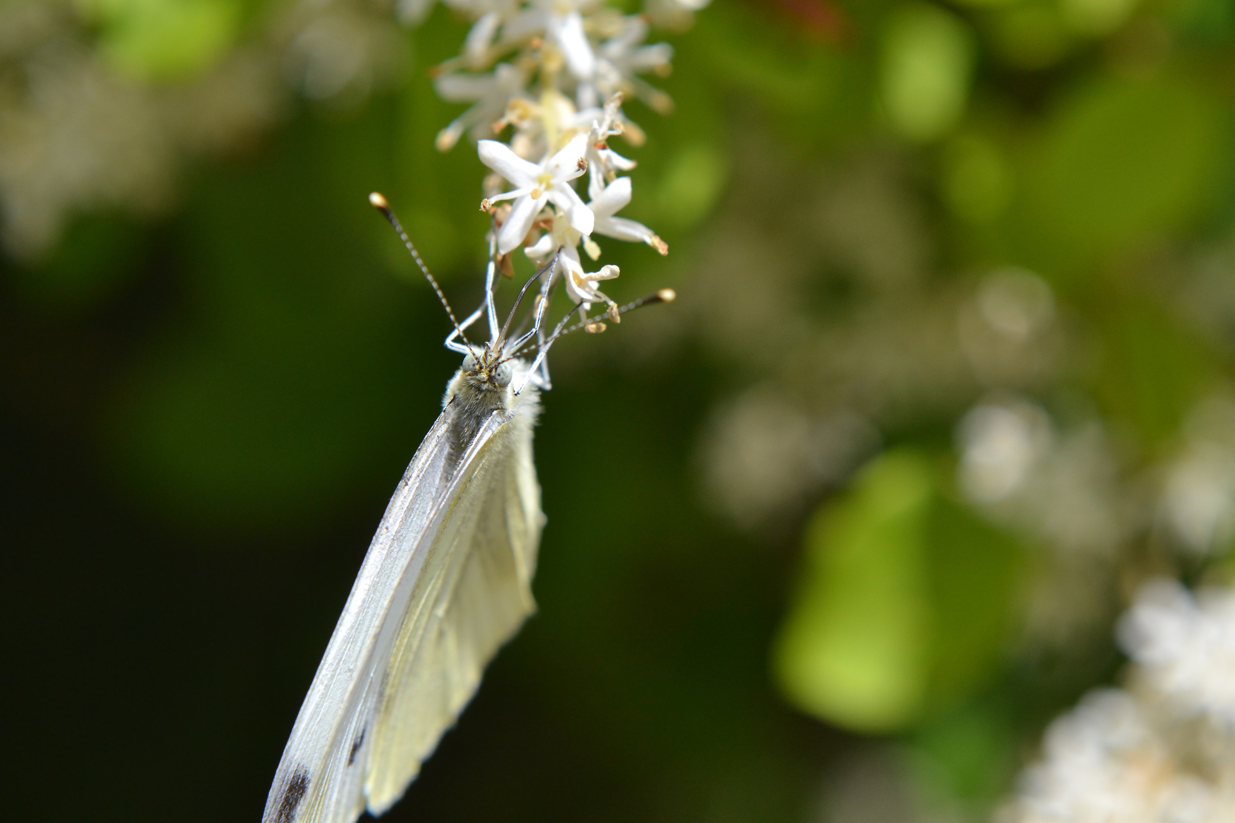 equilibrio alimentare