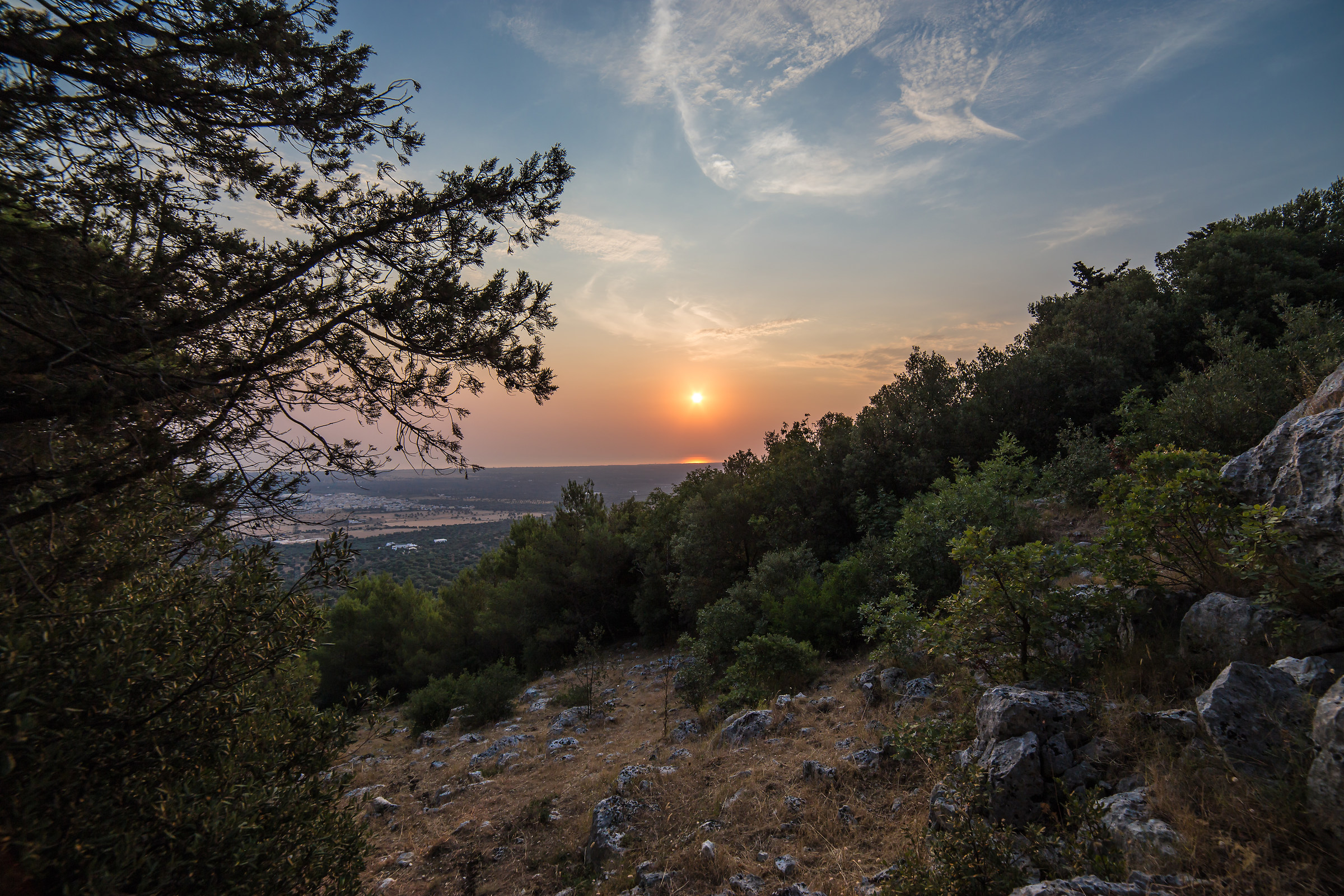 l'alba tra mare ulivi e macchia mediterranea