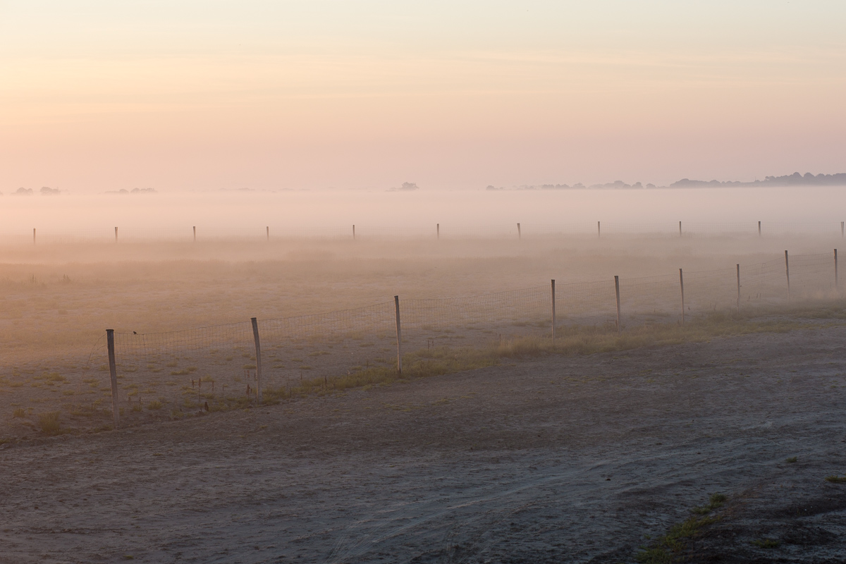 Bassa marea all'alba (Normandia)