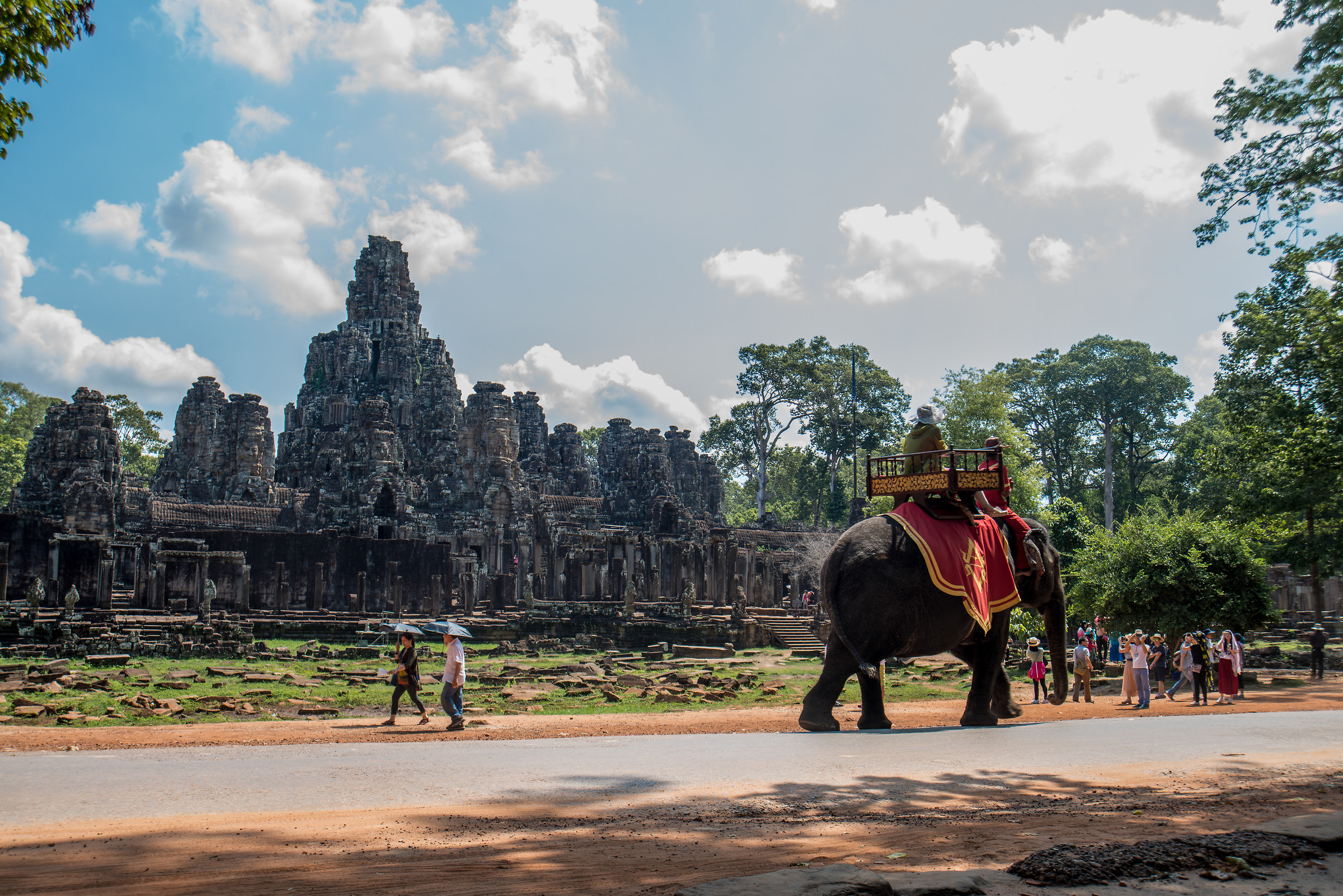 Elefante ad Angkor