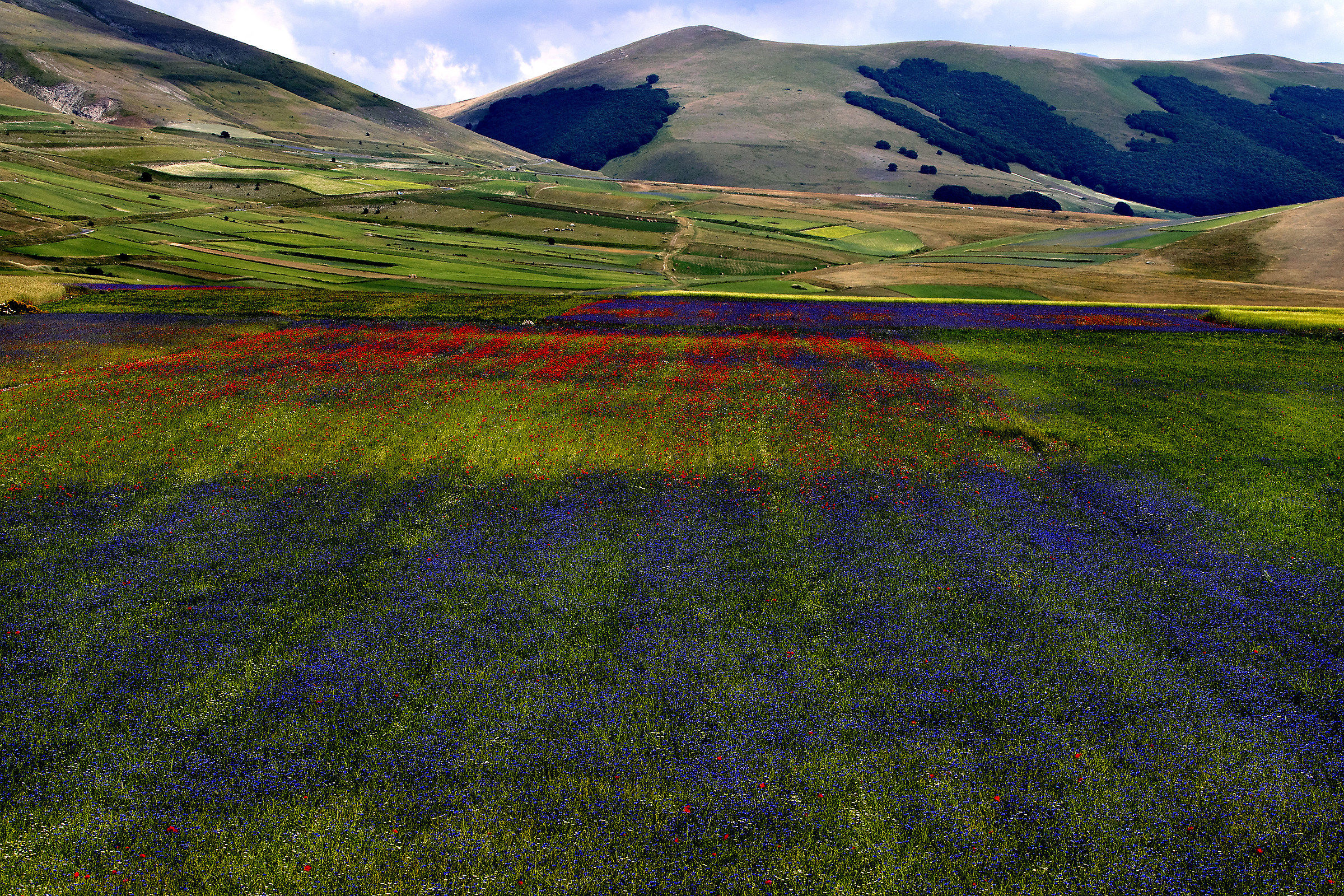 Castelluccio.