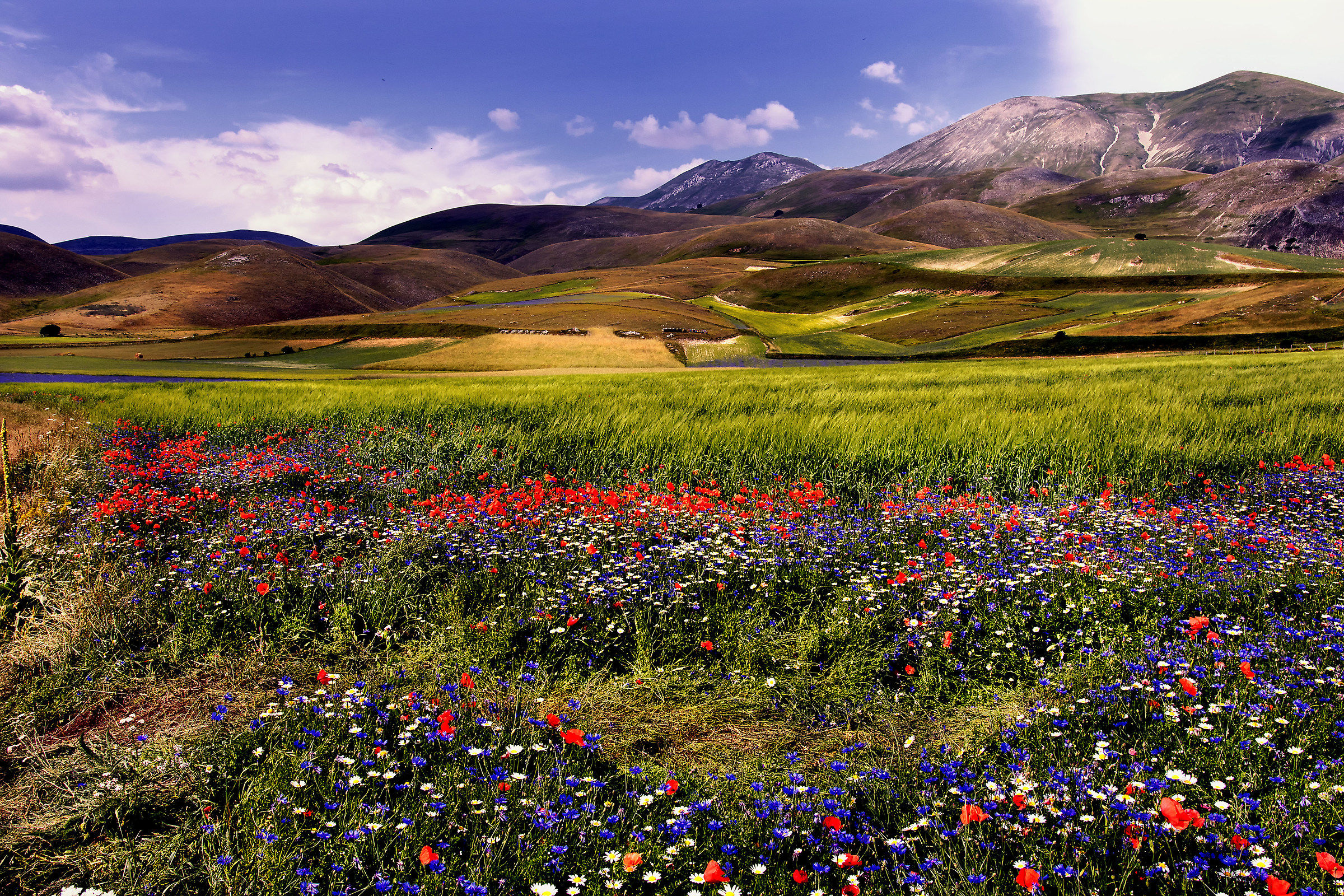Castelluccio di Norcia.