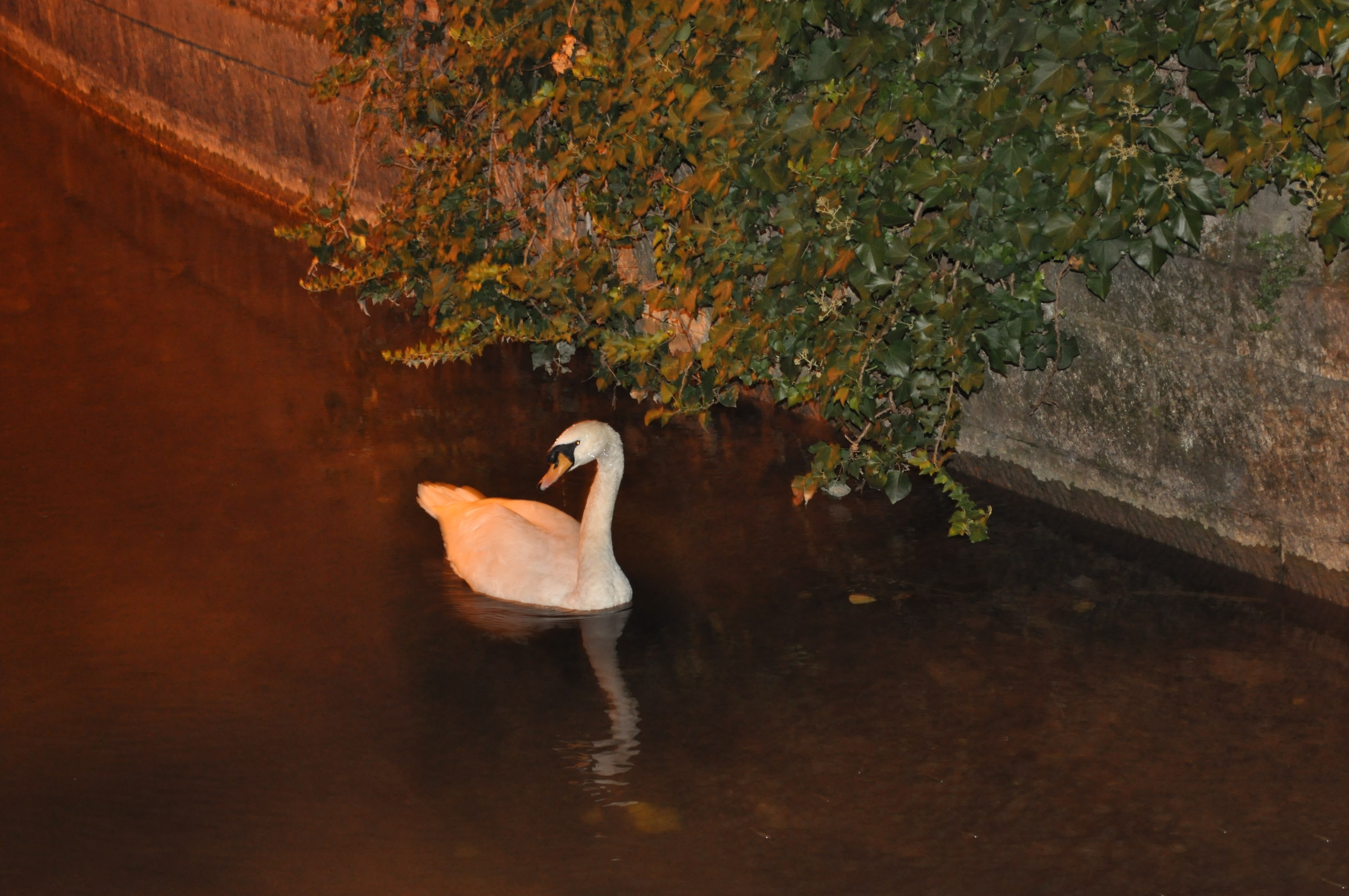 I want to take a picture ... ???