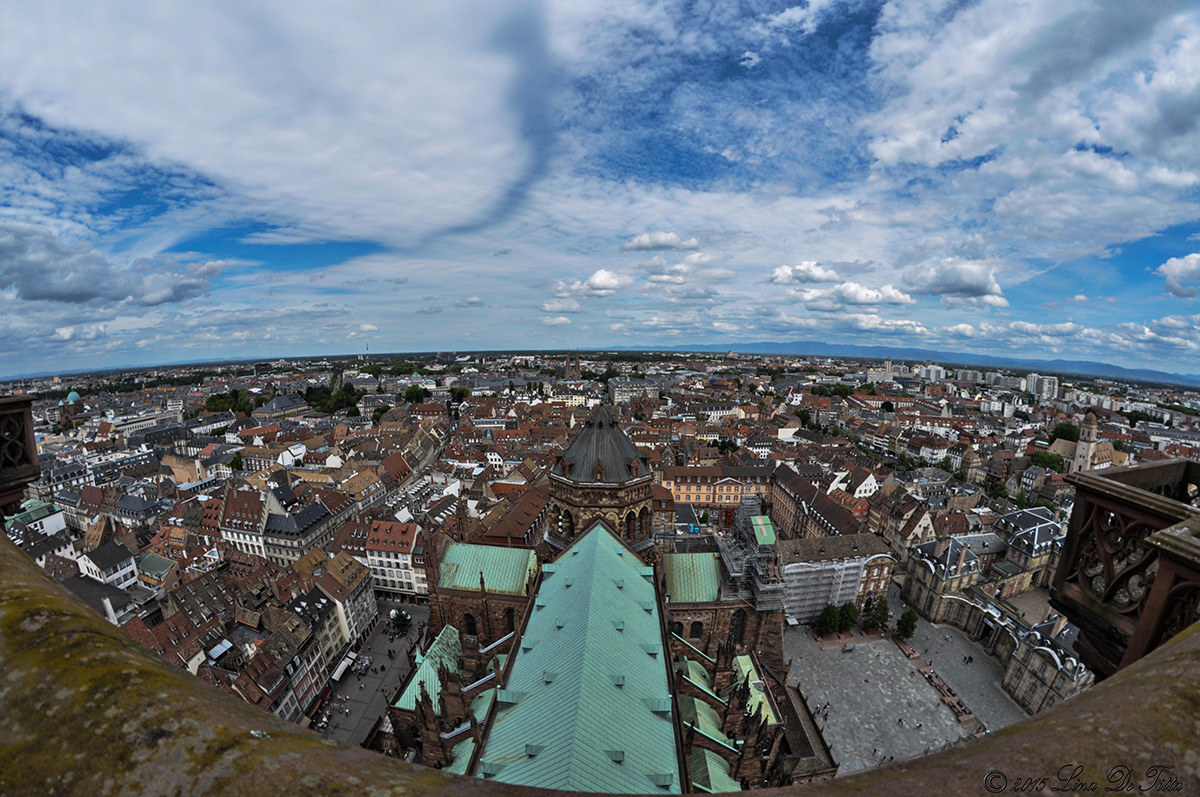 ...dalla Cattedrale di Strasburgo