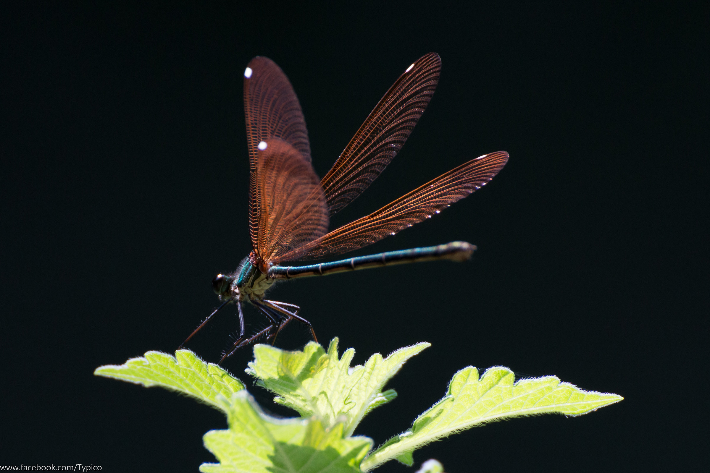 Mi Sgranchisco un Attimo