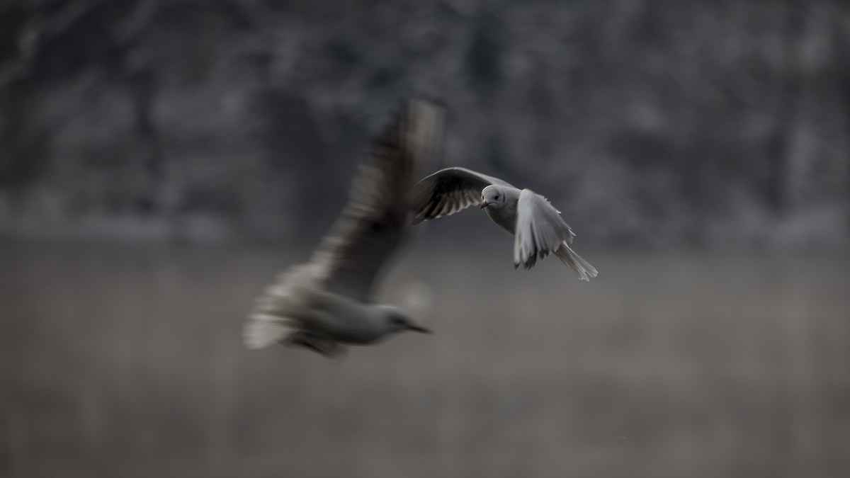 incrocio di traettorie