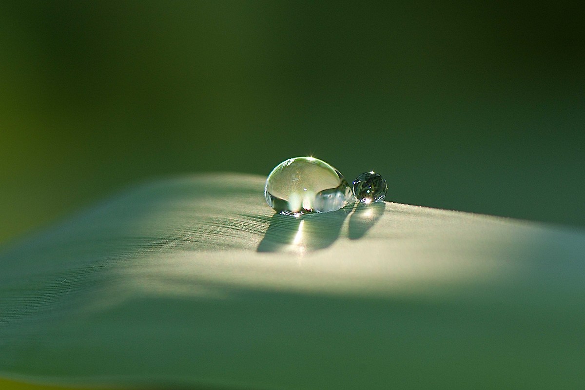 ancora 1 mm e si sarebbero unite!