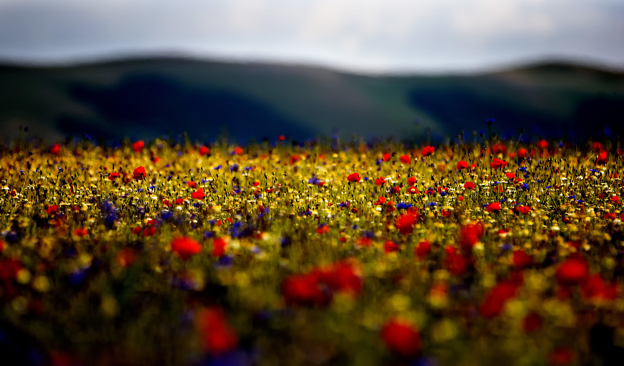 Castelluccio.