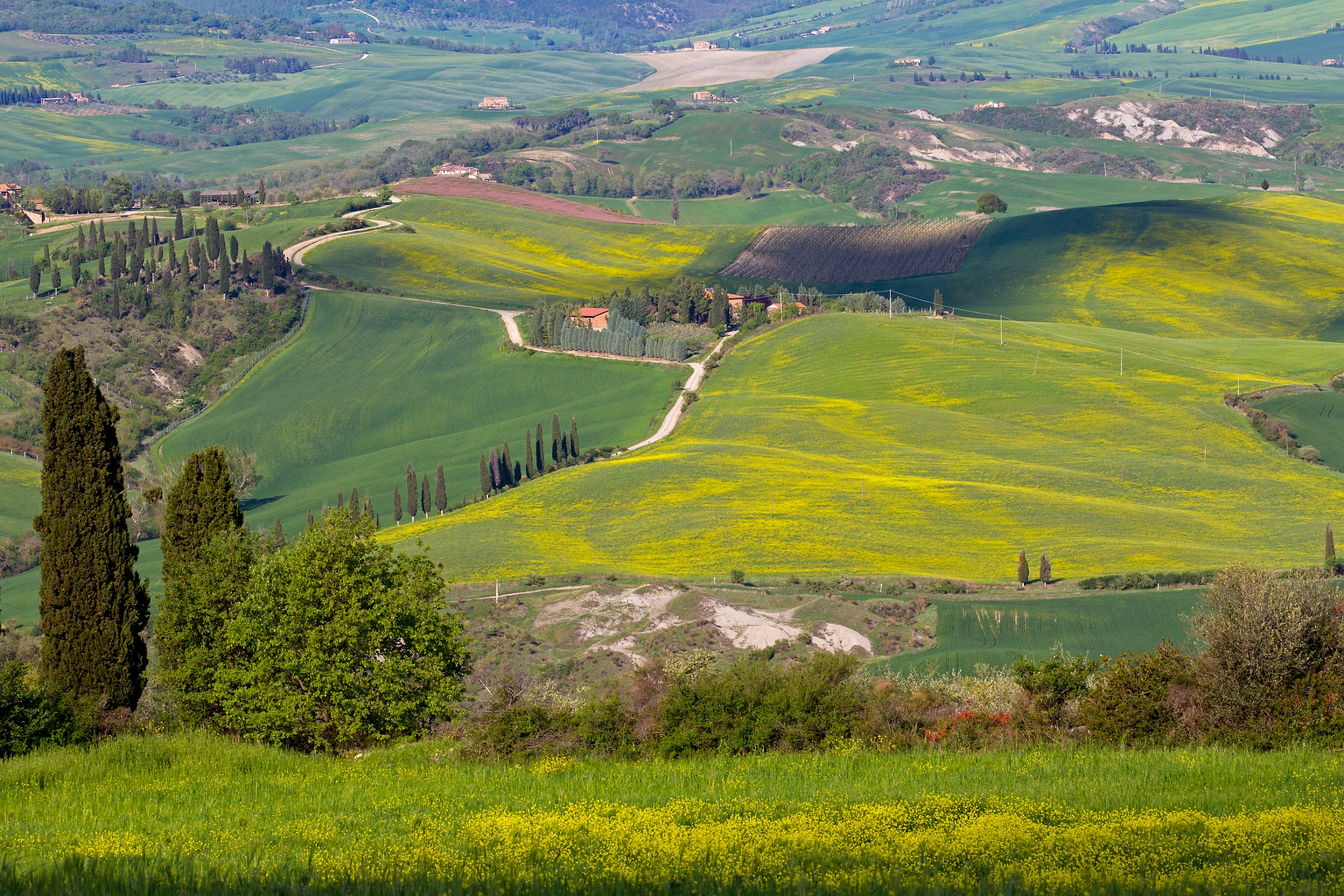 Tuscany near Pienza