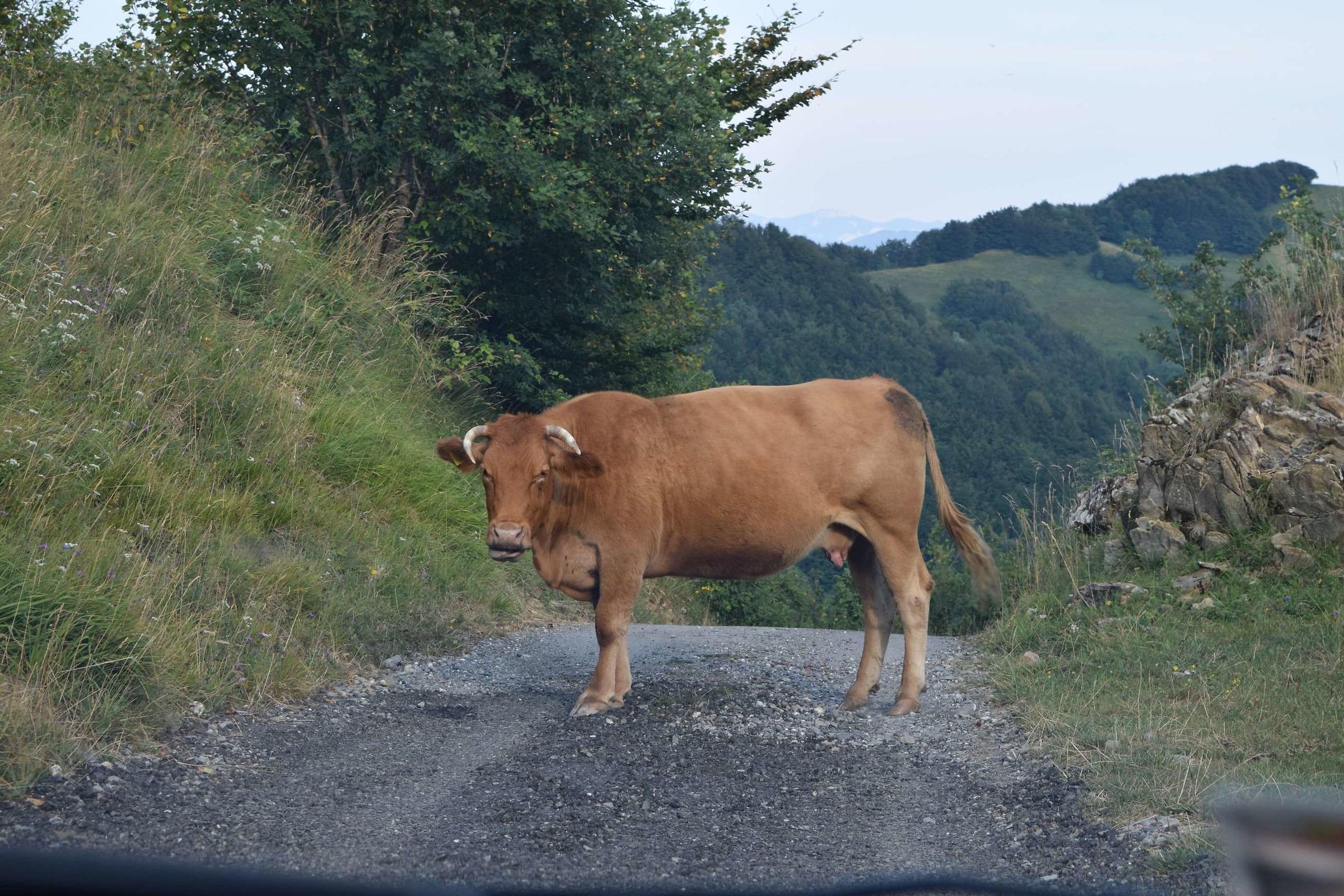 Non ti faccio passare....