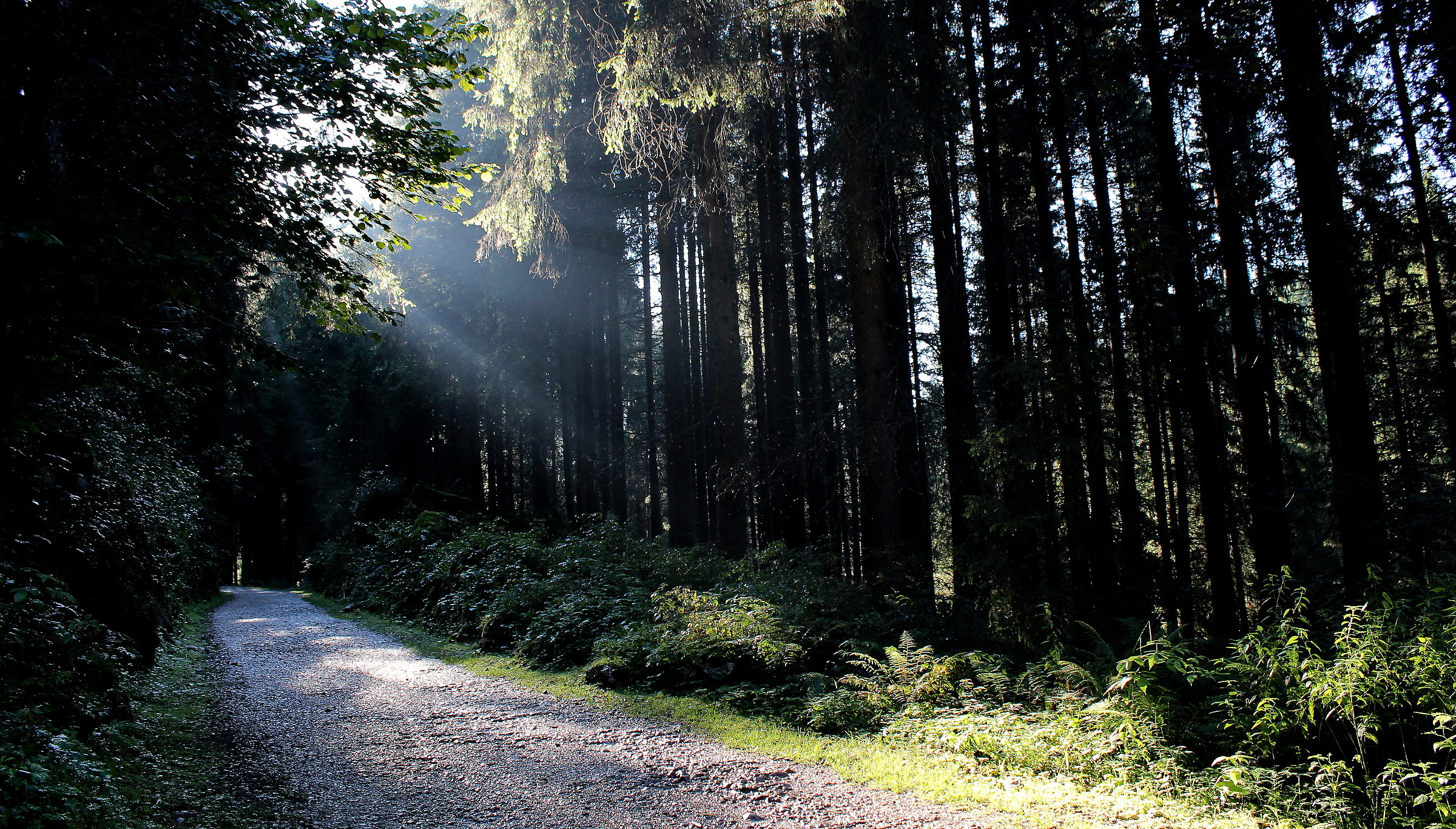 Altopiano di Asiago-strada del Vecchio Trenino