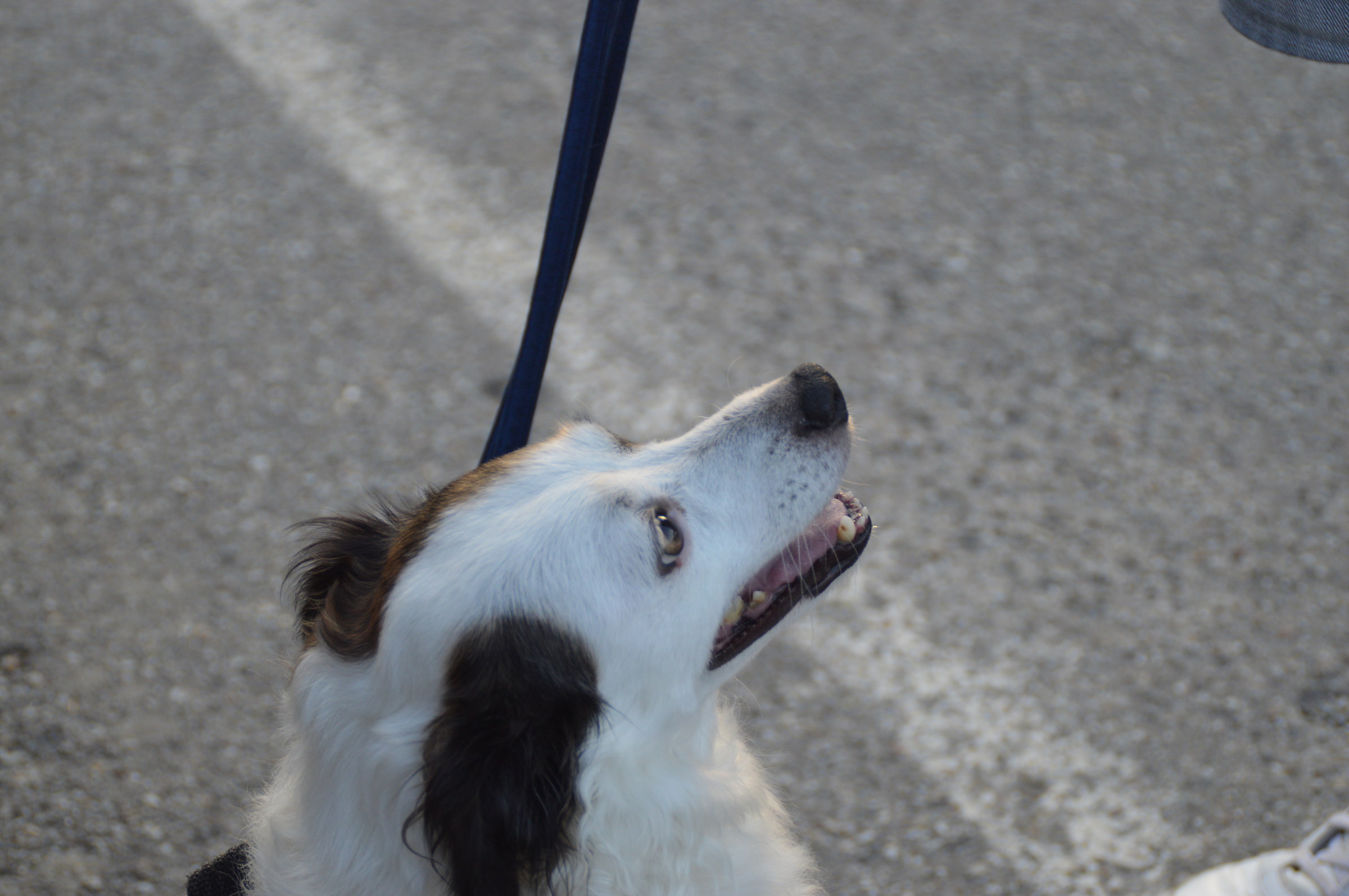 the 'love of my life: Melodi