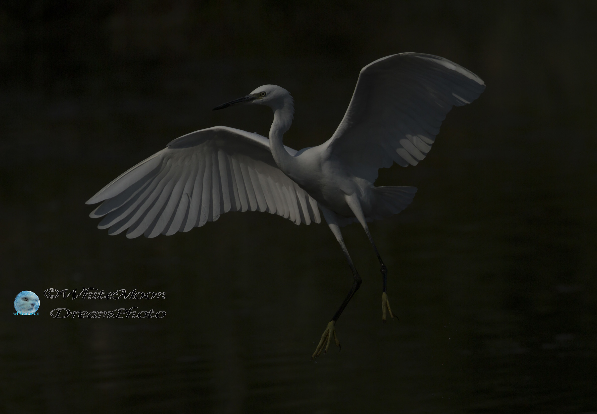 Il fantasma del Louvre