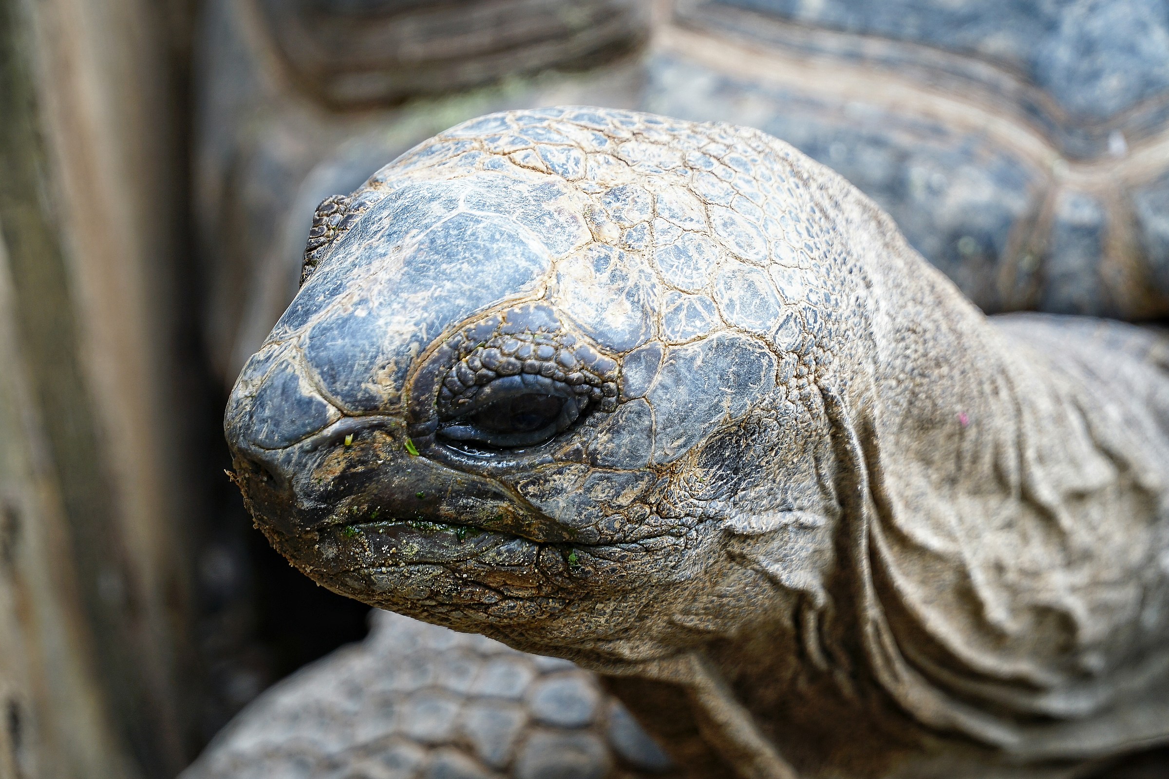 Credo che si inizino a vedere le mie rughe..