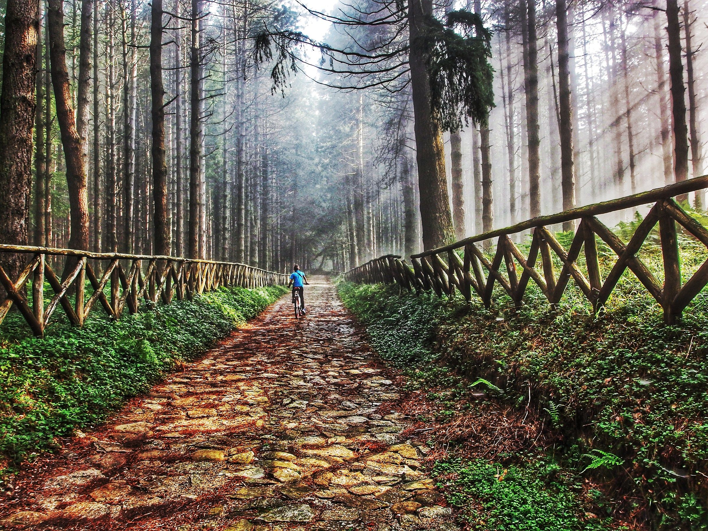 One word, Aspromonte ...