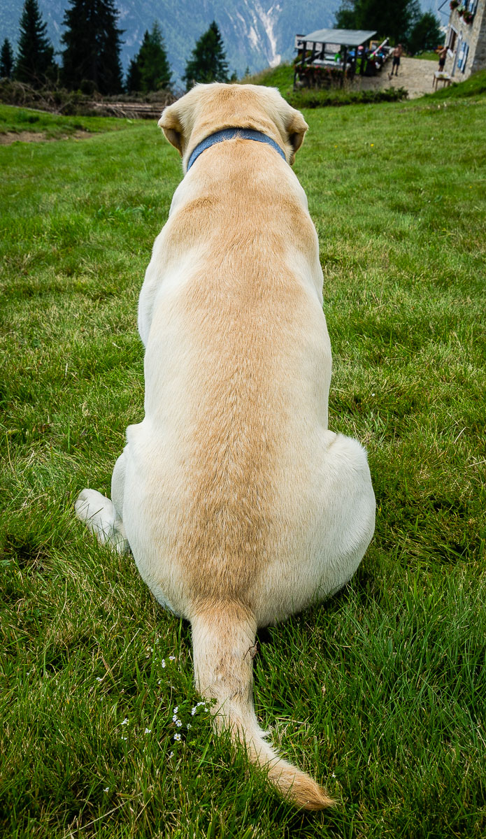 Quassù tutto ok/okay up here