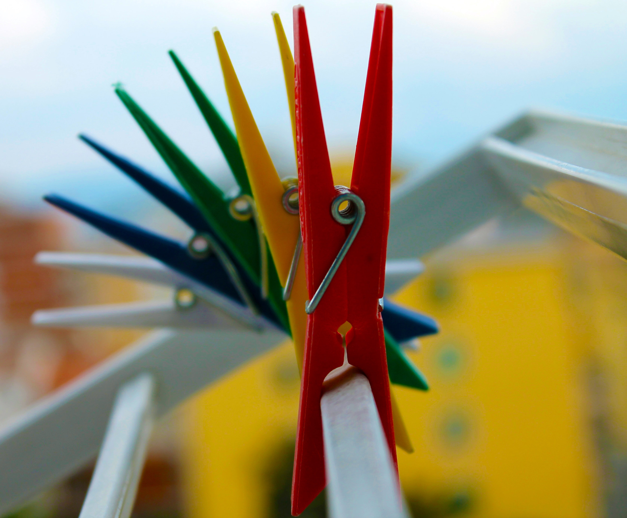 The world is in color, but the reality is in black and white...