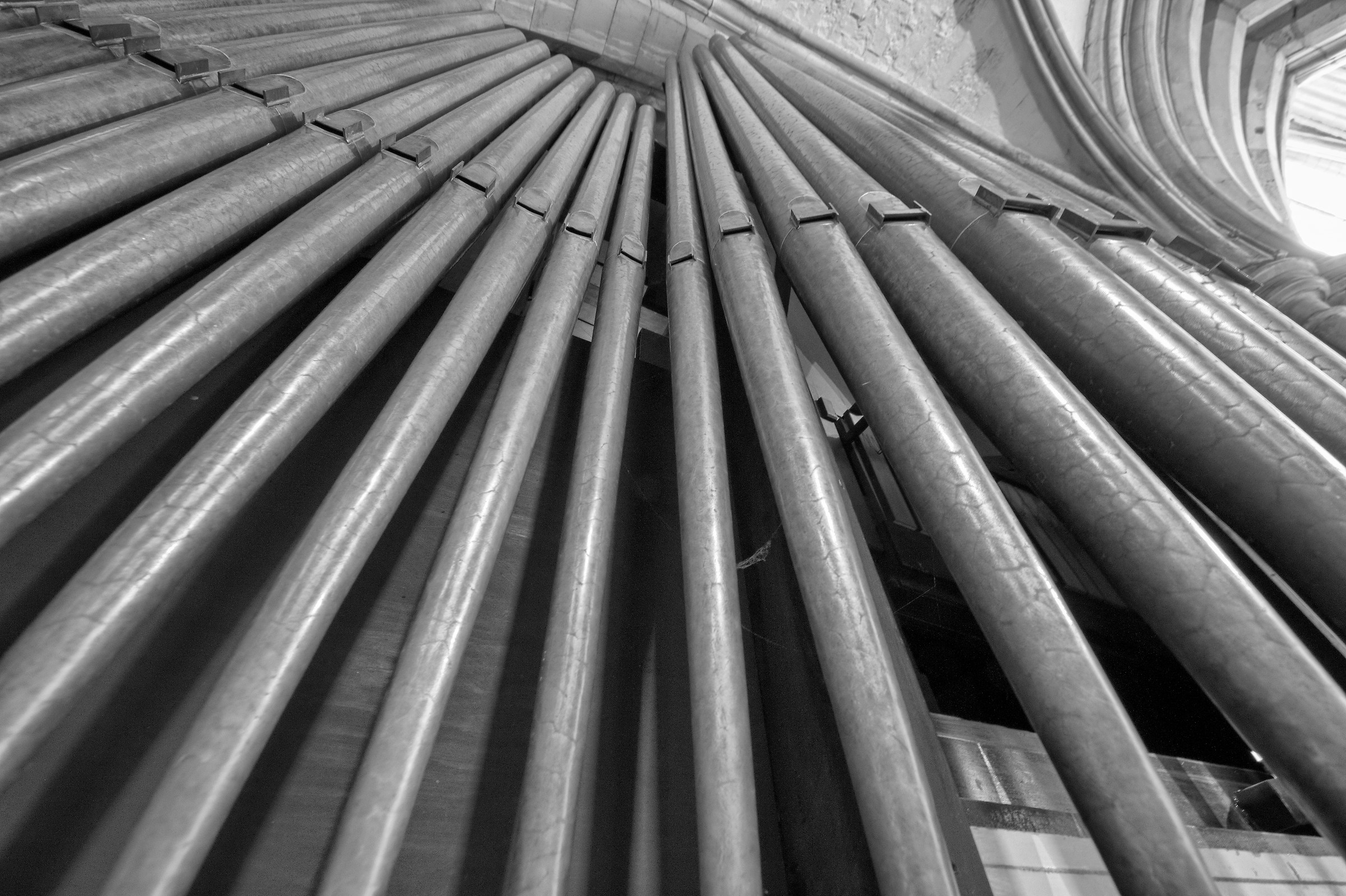 Organ pipes
