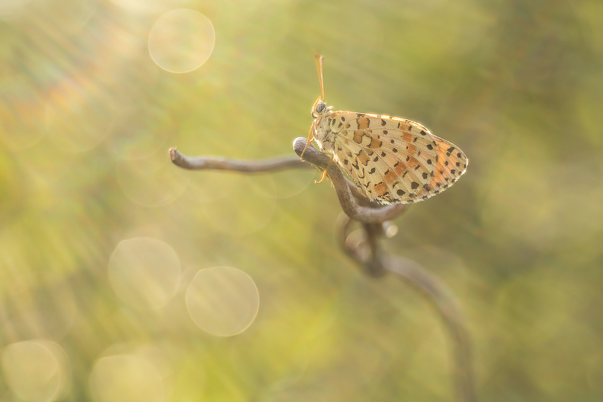 Il sole Bacia.... Tutti!!!!..