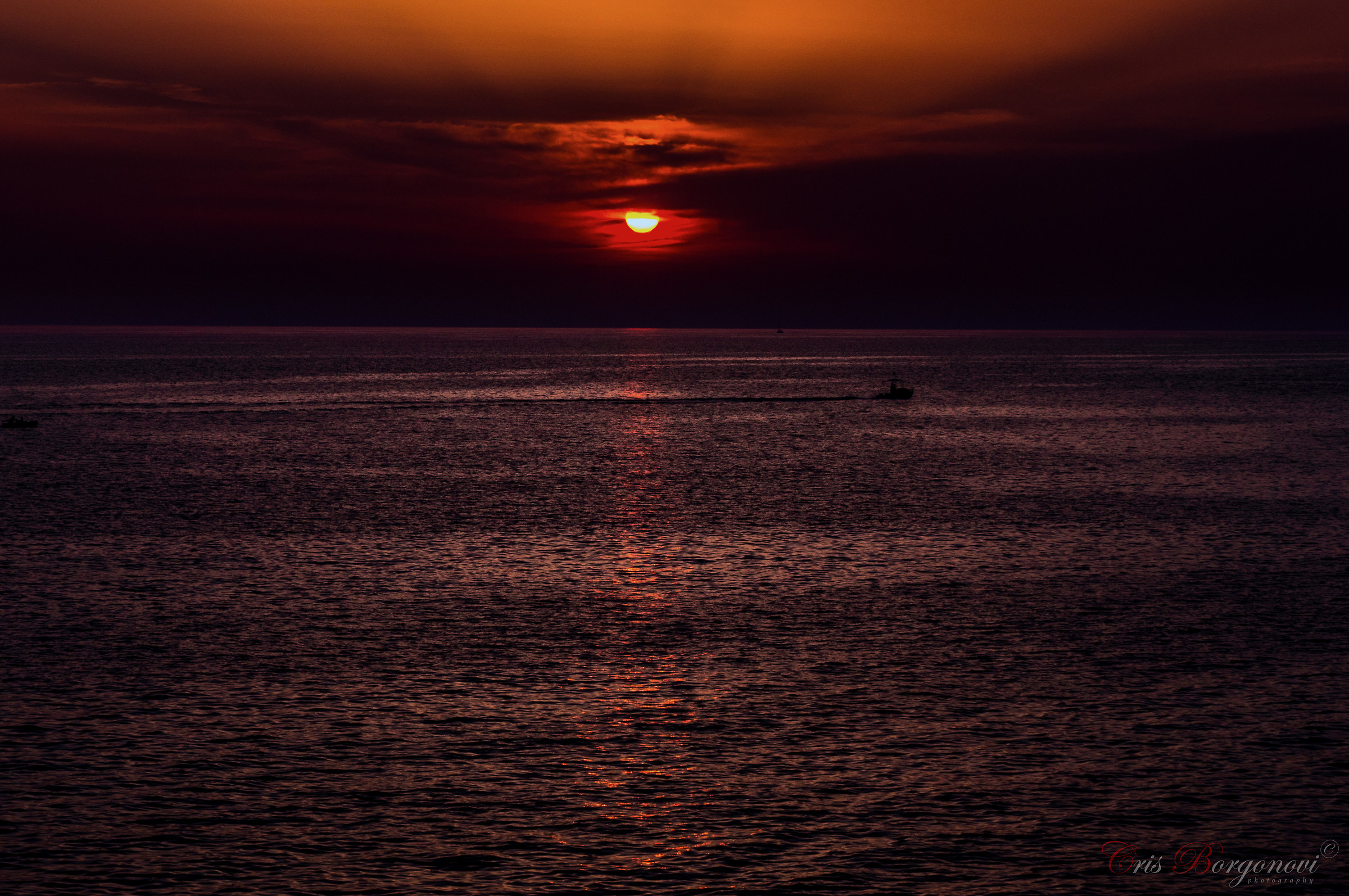 The Eye Of The Night