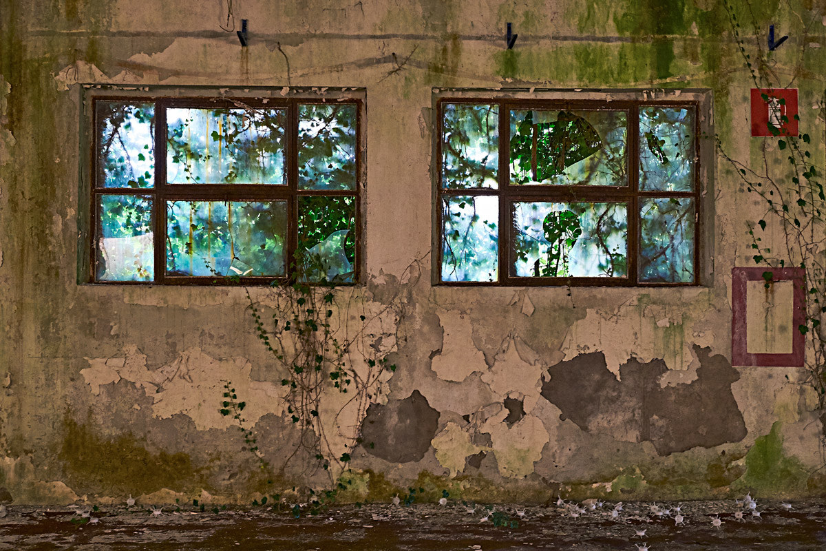 Industrial Decadence