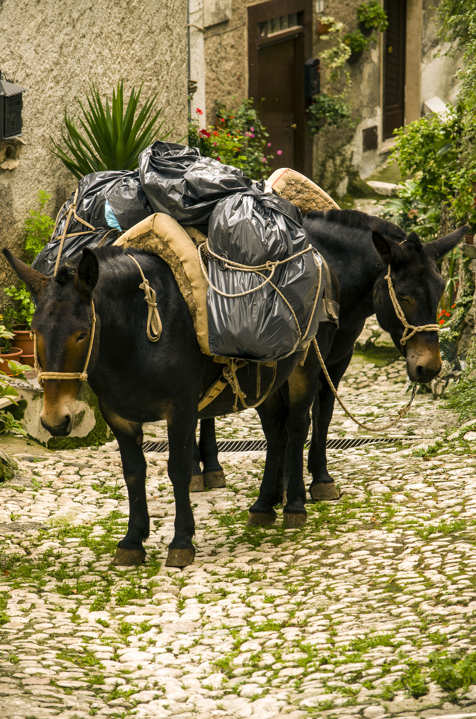 Artena historic center