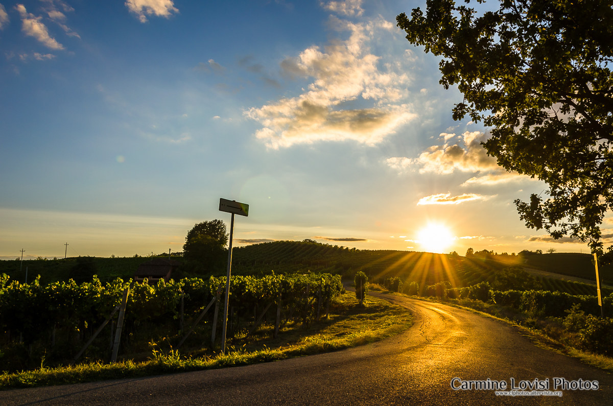 Sunset over the vineyards