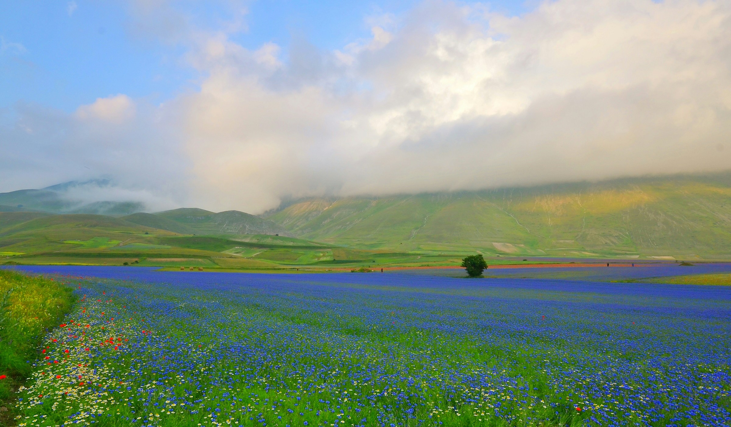 Luce e colore a Castelluccio