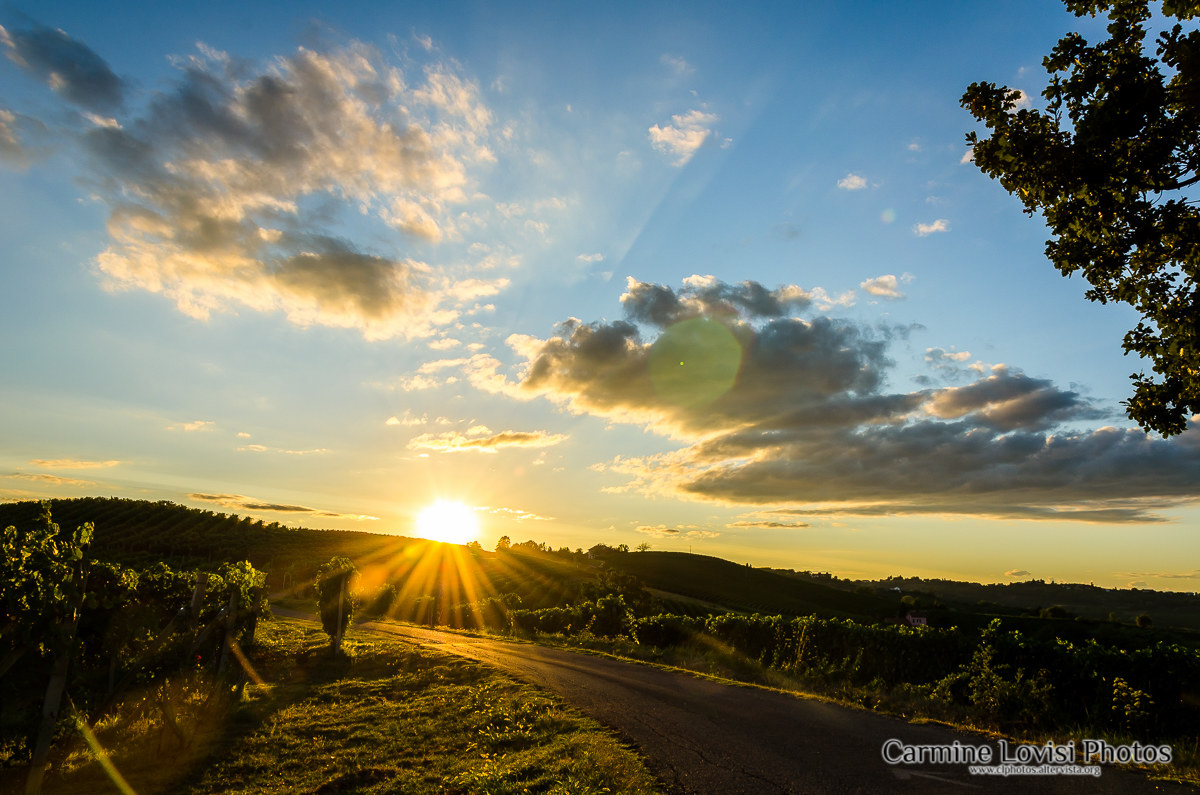 Sunset over the vineyards II