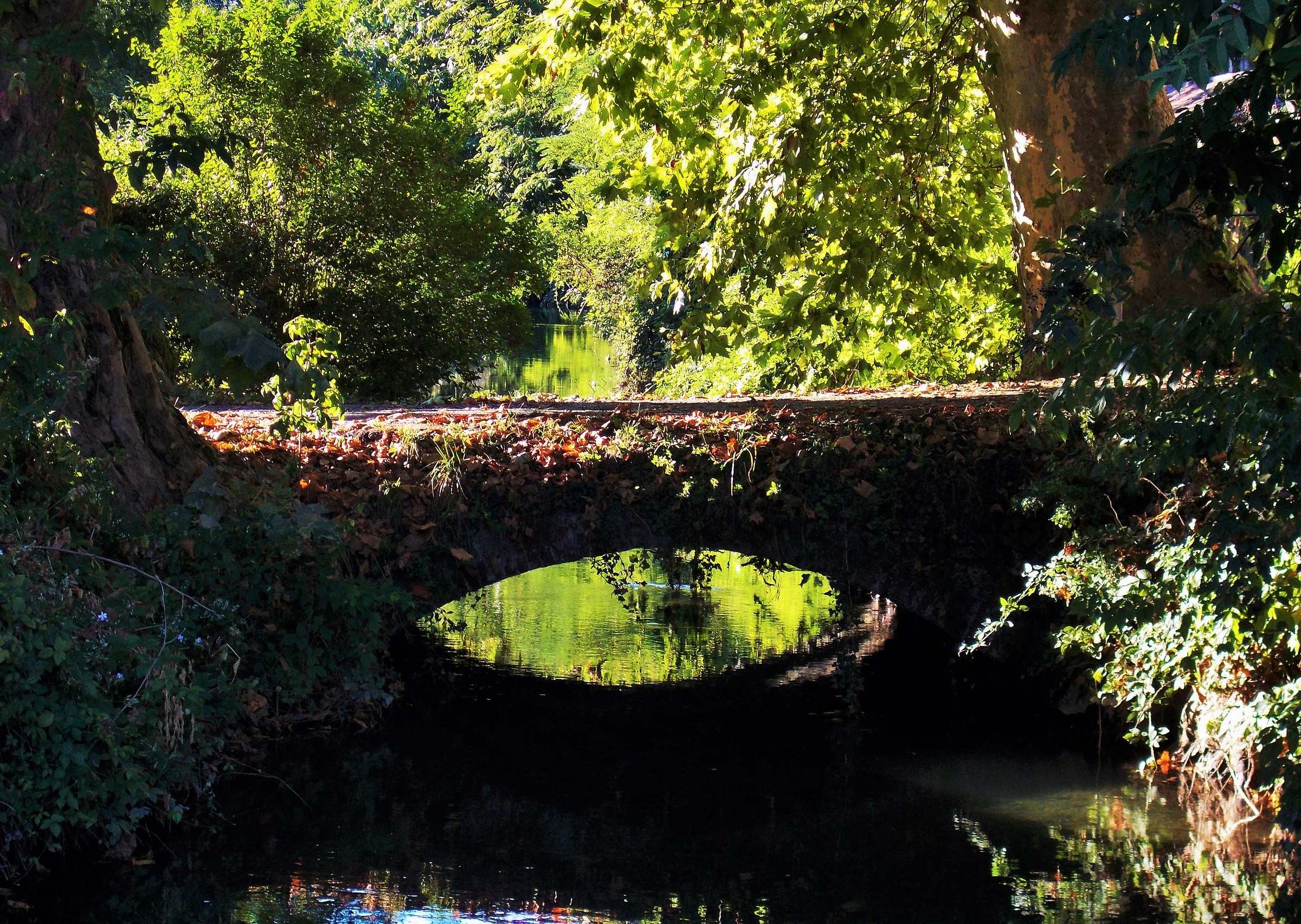 Roggia parallel the Canal Grande