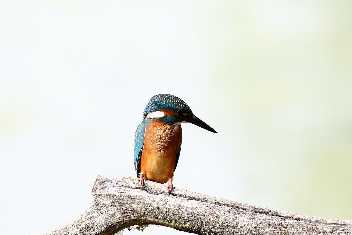 it's always exciting to photograph