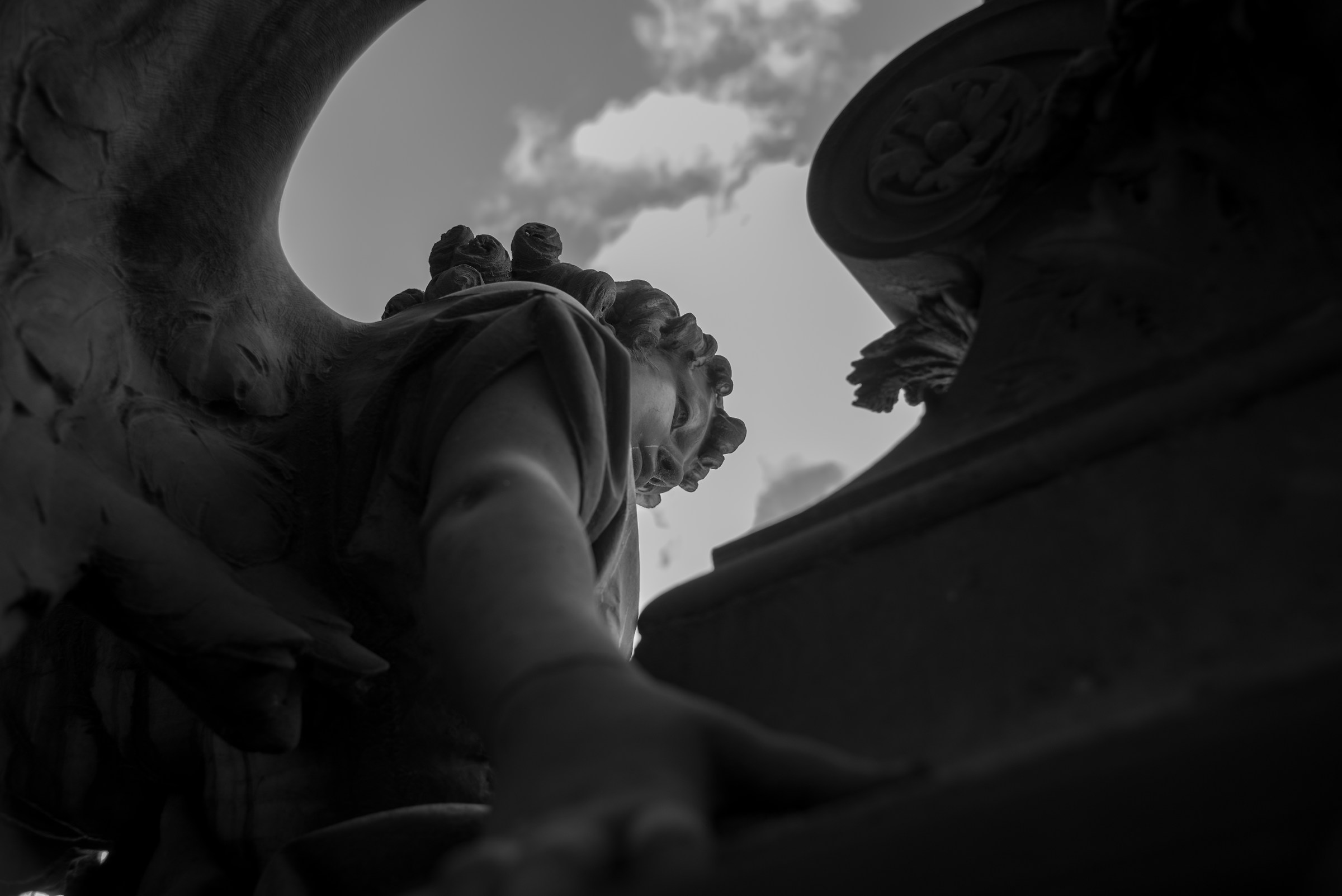 The look of the angel