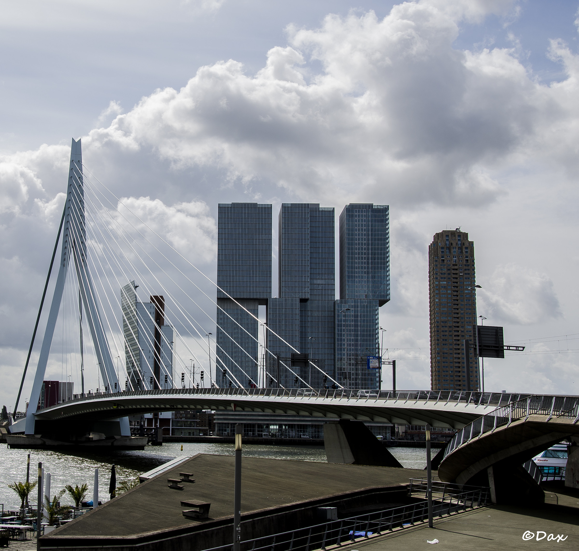 Erasmo Bridge Rotterdam